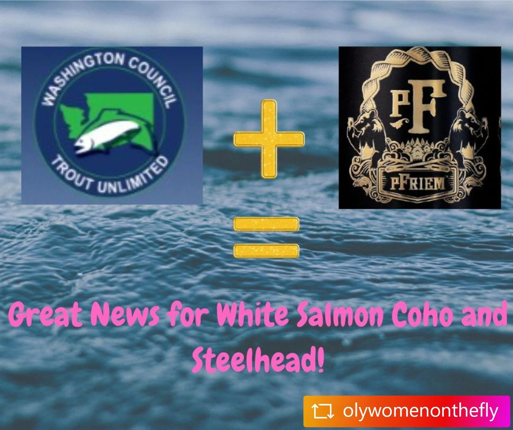 Want to learn more about the project directly from folks who have participated in the fun? If you are curious about what is going on in the beautiful forests and waterways of your community or if you want to meet our past volunteers to get the lowdow