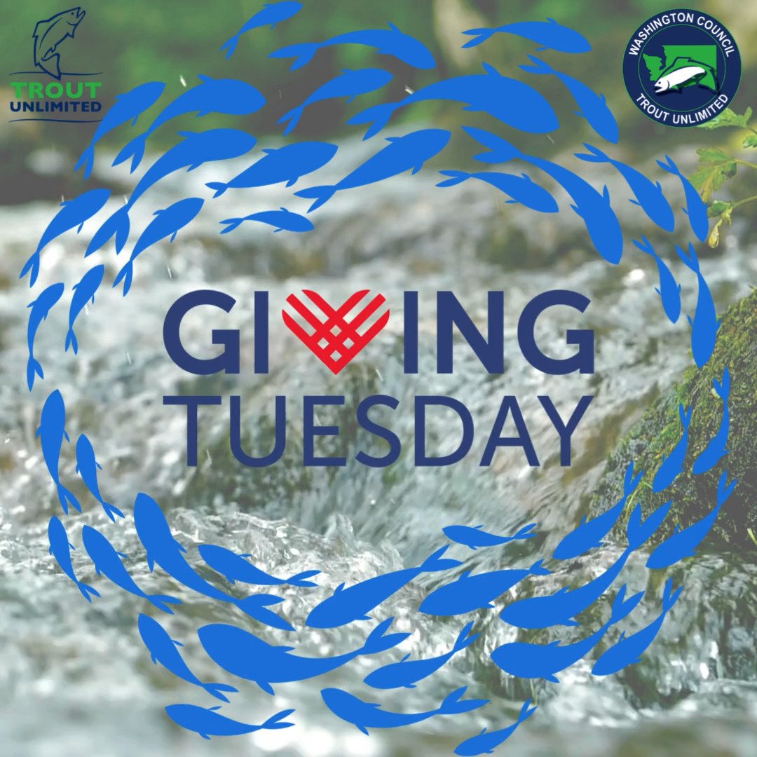 We're just one week away from #GivingTuesday! 

Throughout this year, our organization has seen many victories for our native fish! With the help of our volunteers, staff, and your donations, we can continue to protect, restore, and reconnect their h