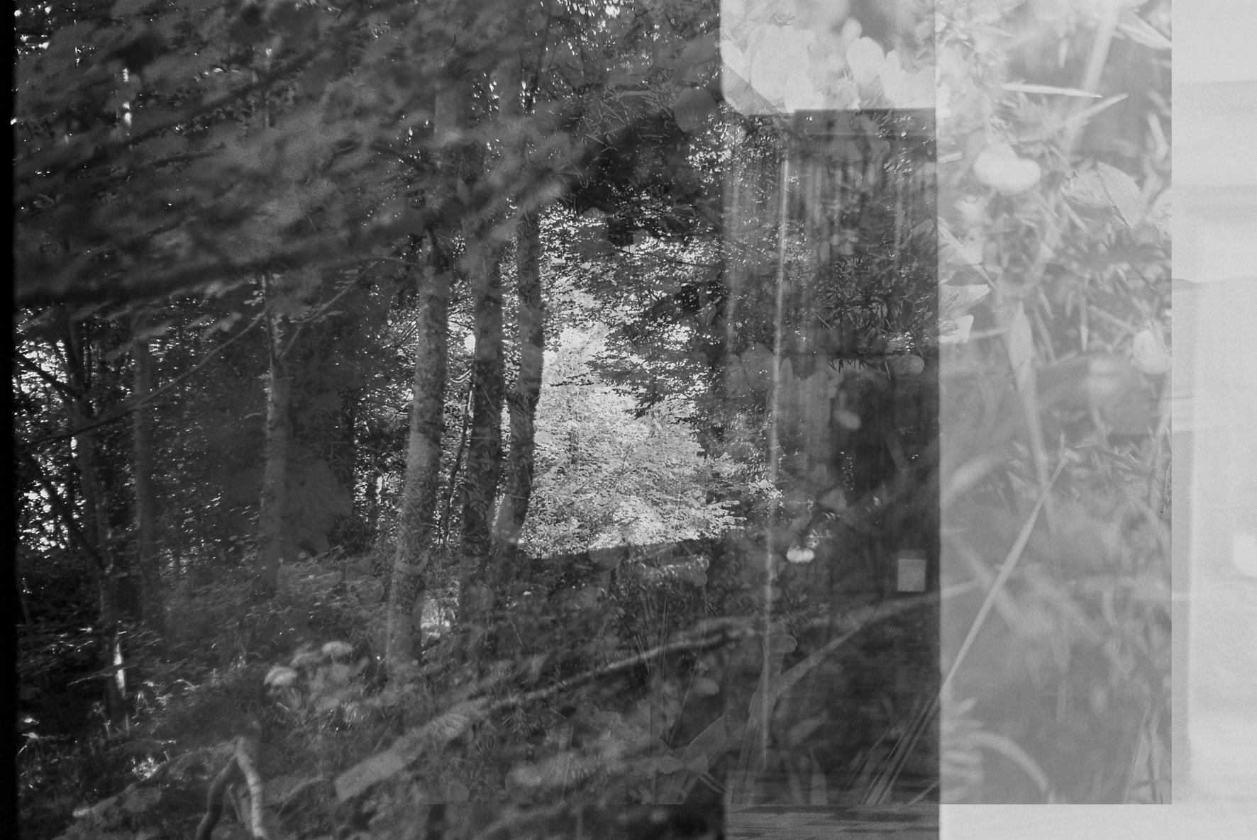 Blue and Salt Online Exhibition by Kat Gollock_13_LOWRES.jpg