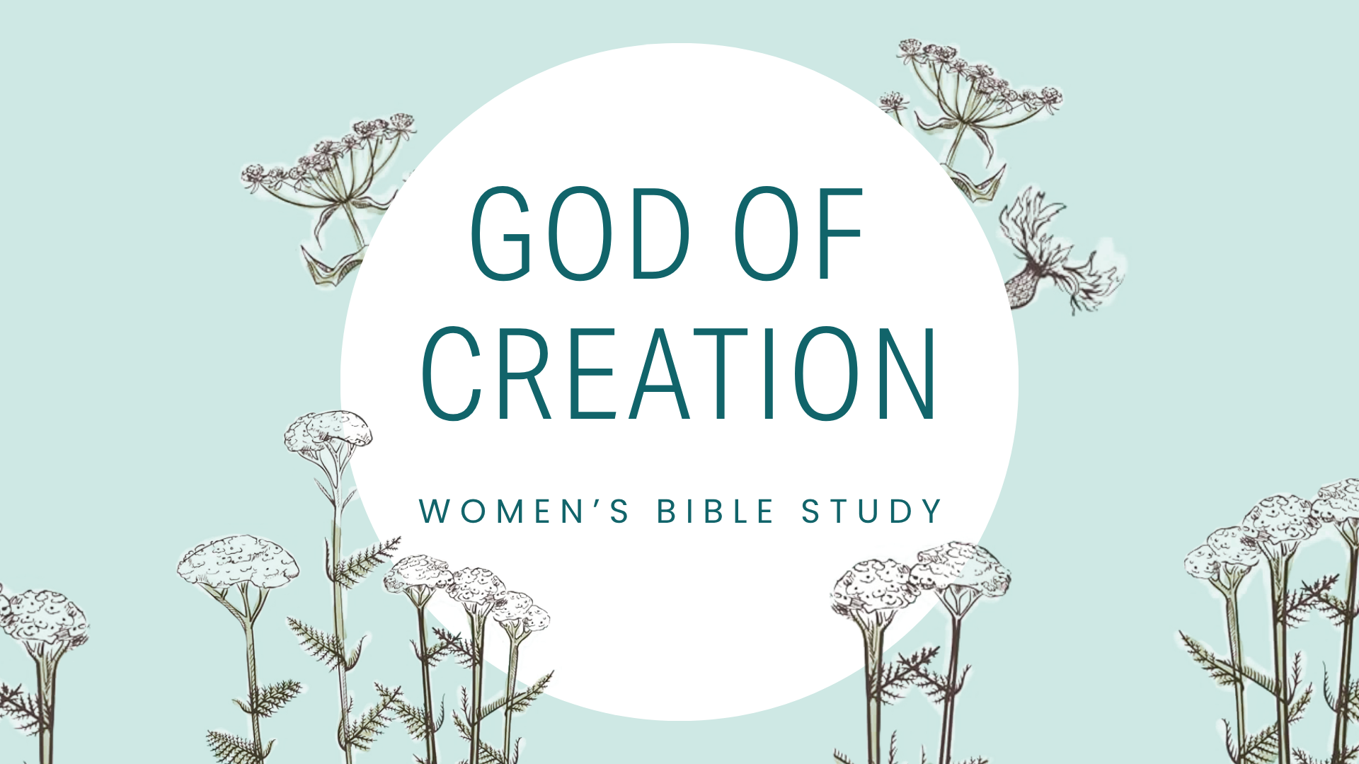 God of Creation: Women’s Bible STudy