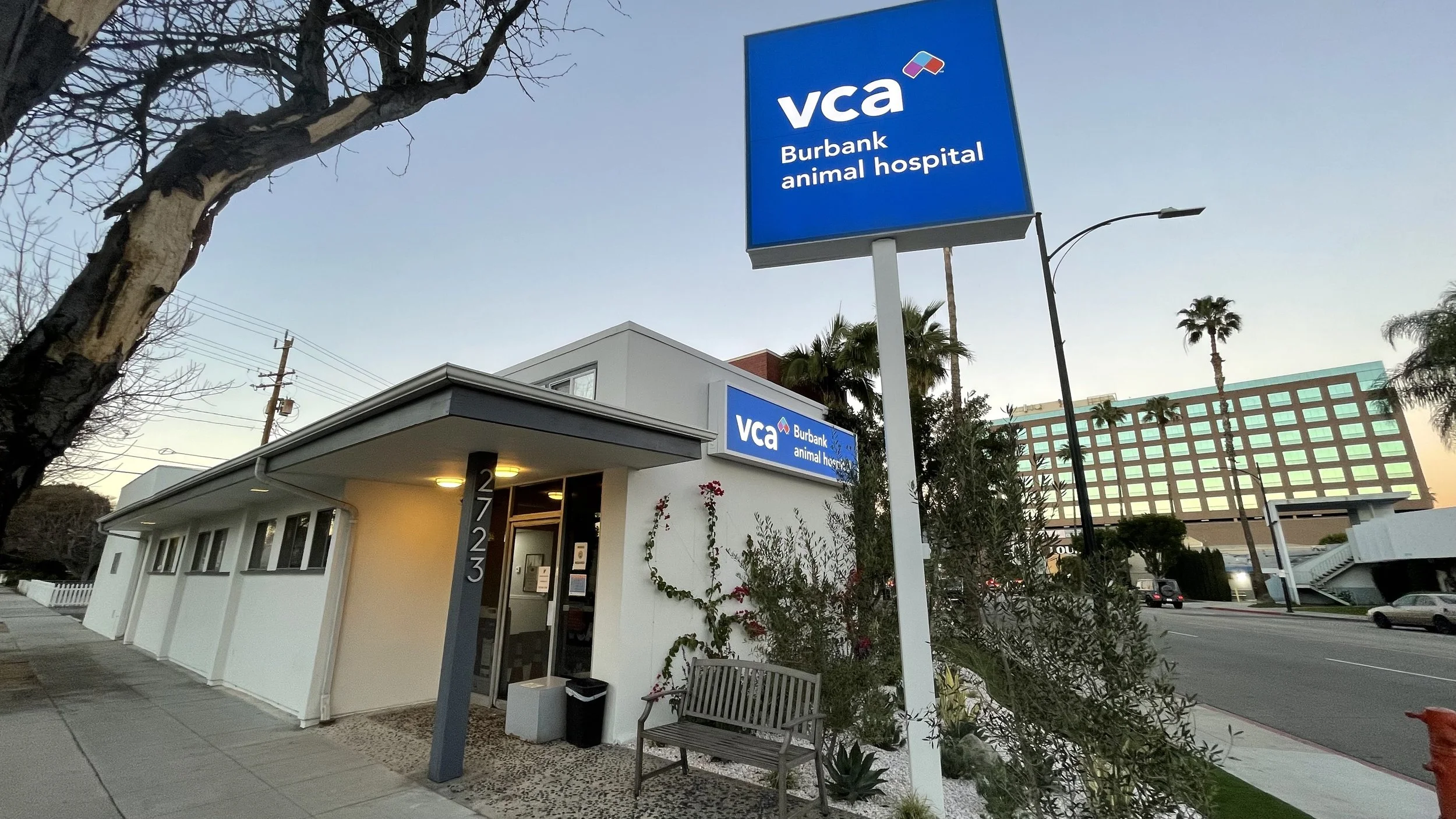 Animal Clinic St Mary's Vca Hospital Veterinary Hospital Vca
