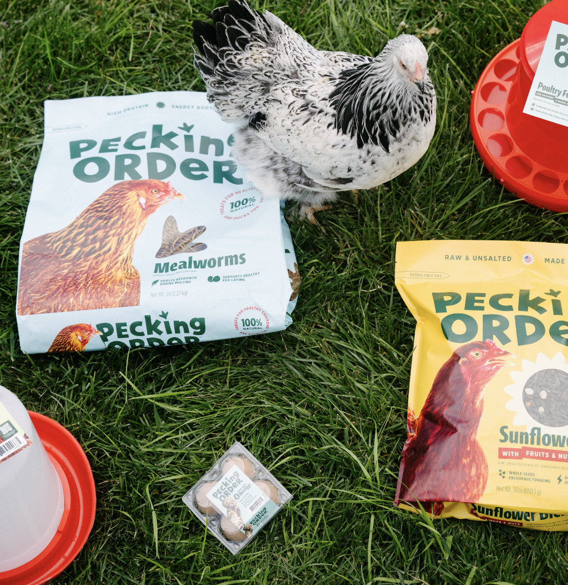 Pecking Order