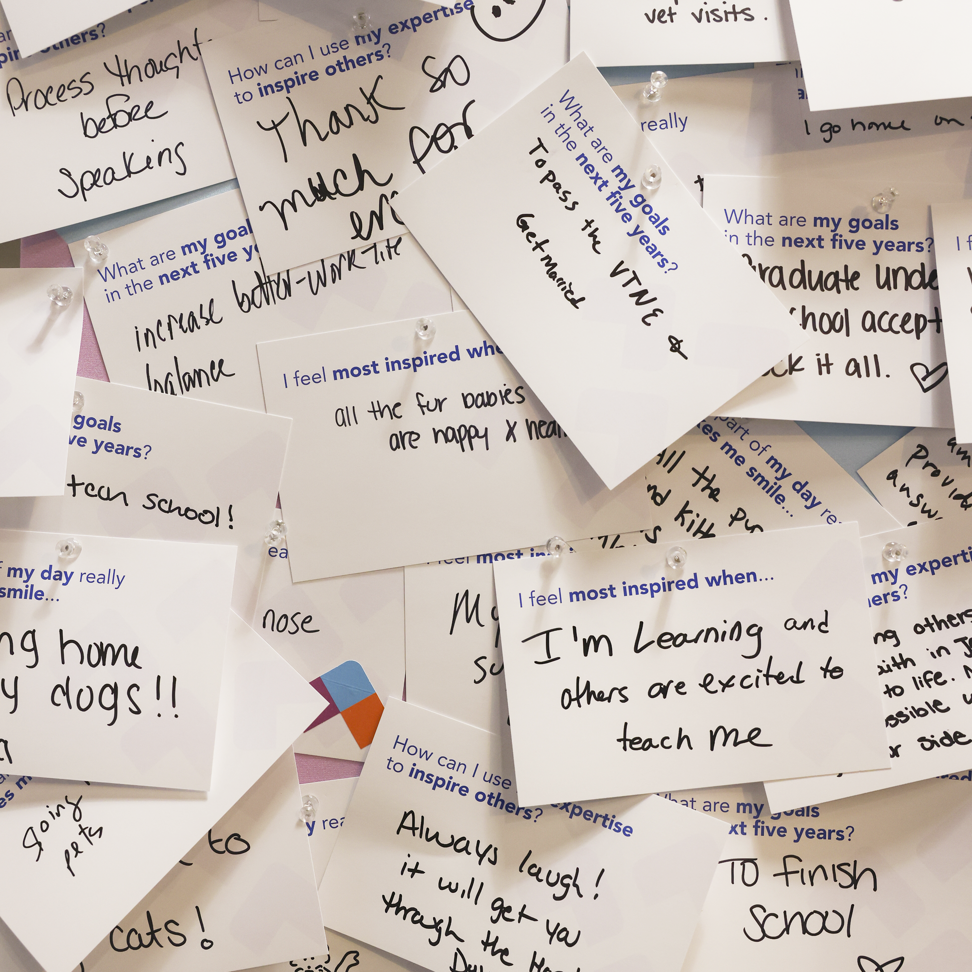 VCA24_Tradeshow_mockup_FillOutCards.png