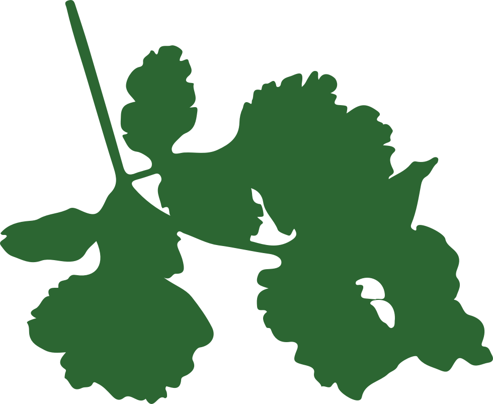 Parsley.png
