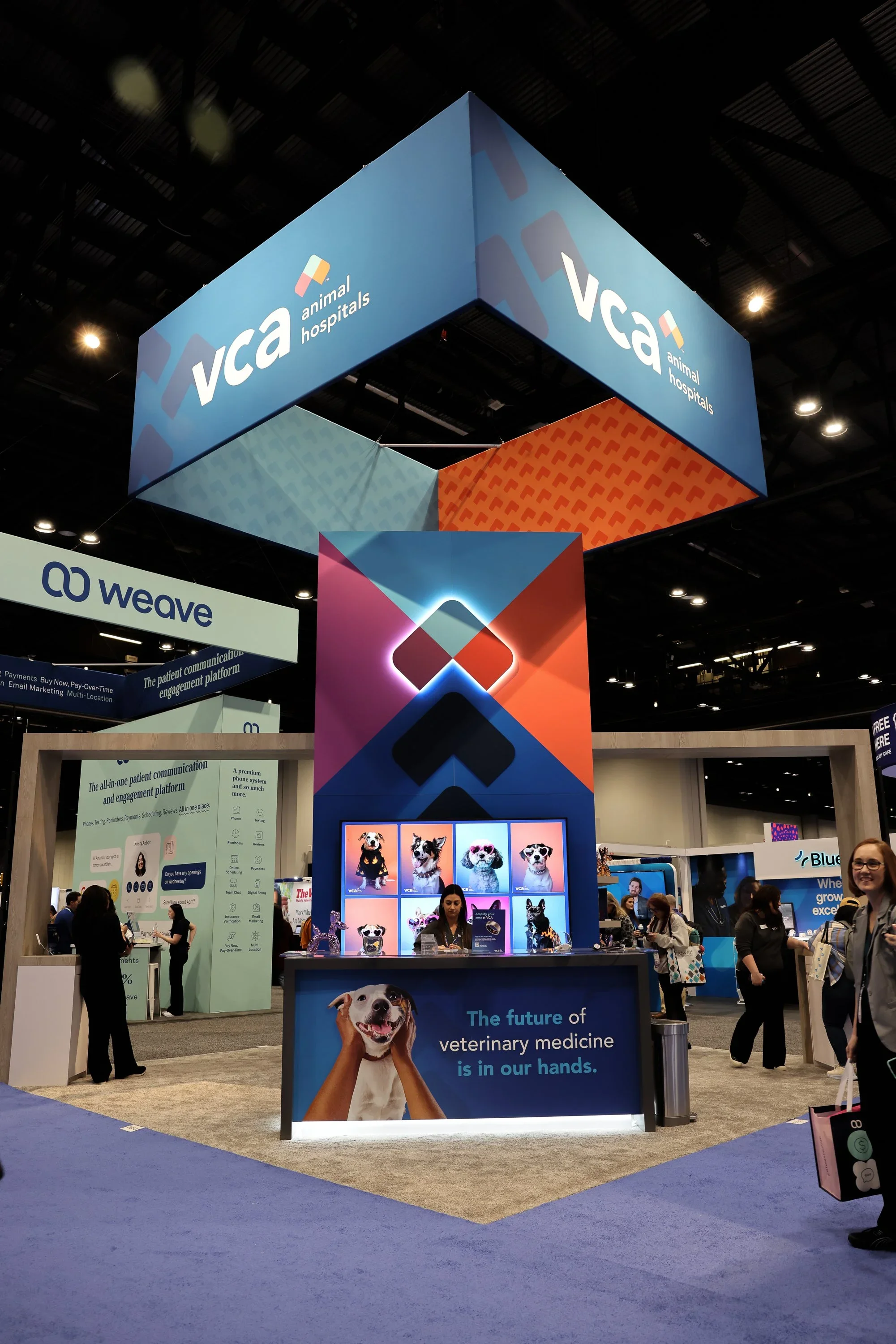 VCA-VMX-26-01-2025_Fiore_0111.webp