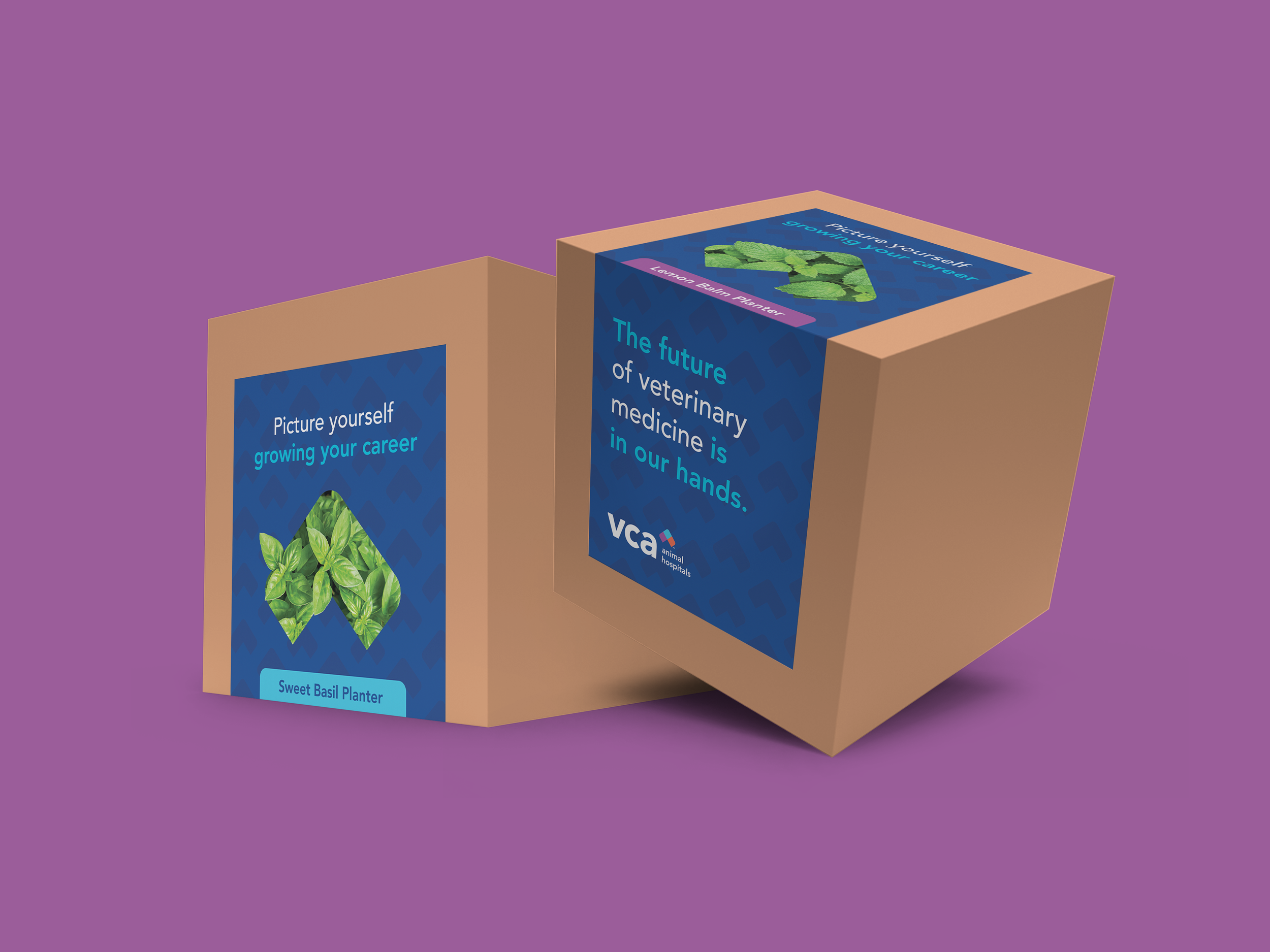 VCA24_Tradeshow_mockup_Planters.png
