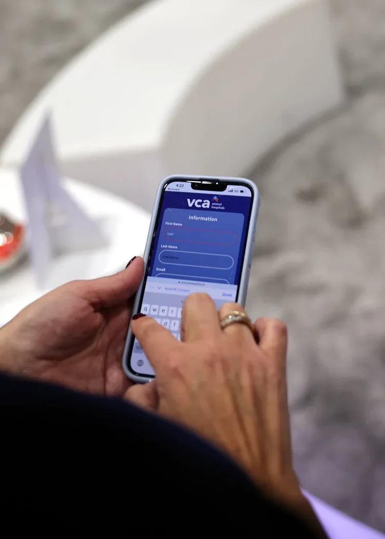 VCA-VMX-26-01-2025_Fiore_0021.webp