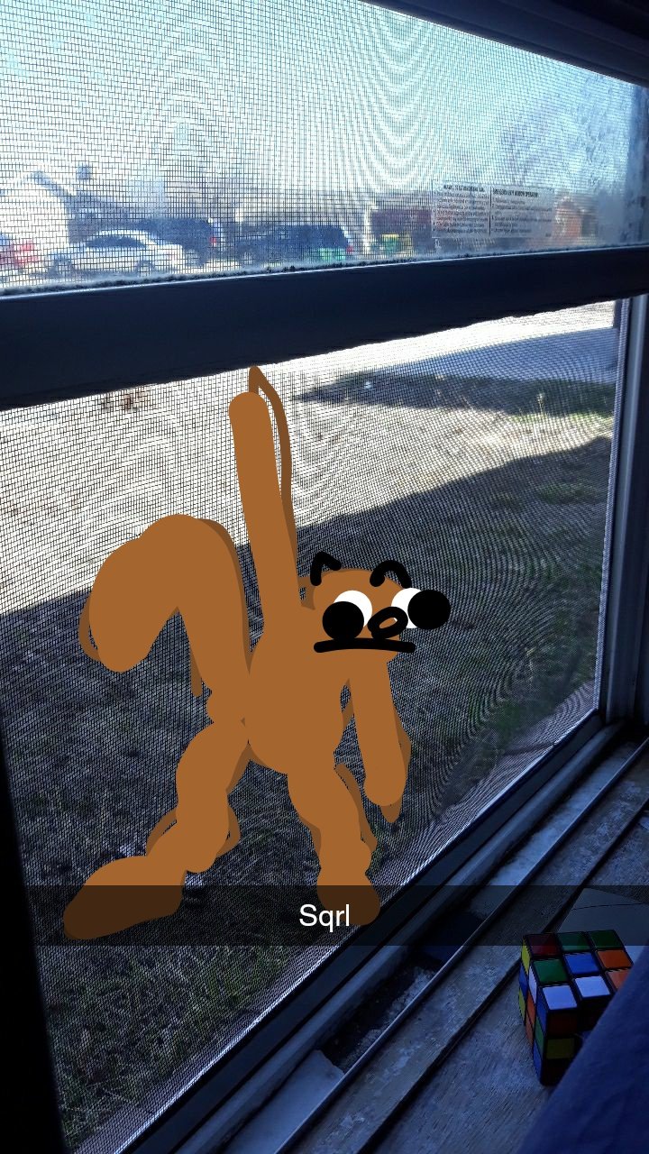 210.jpg