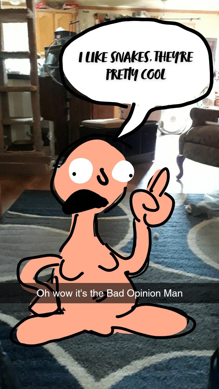 223.jpg