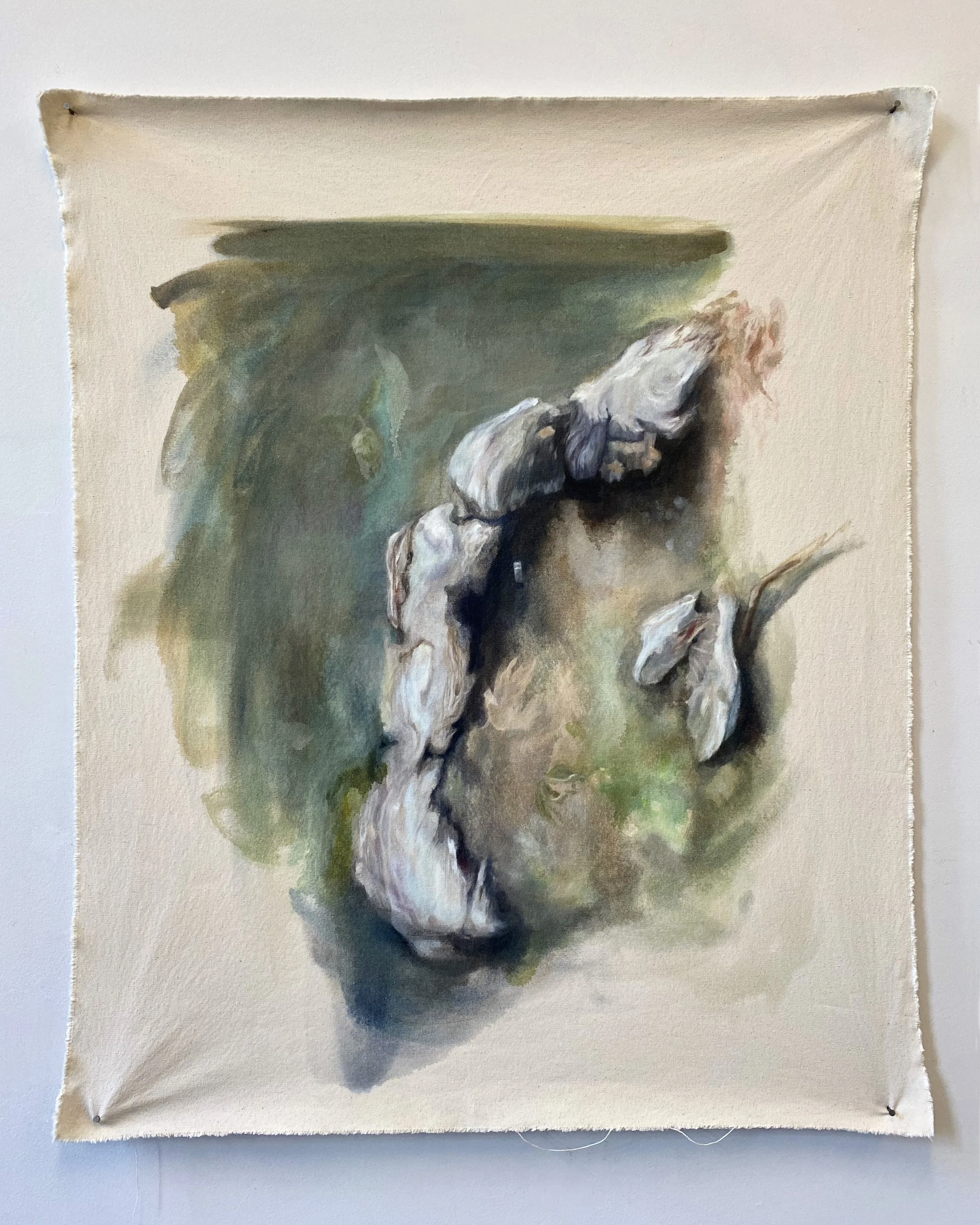 carcass formation, 2023