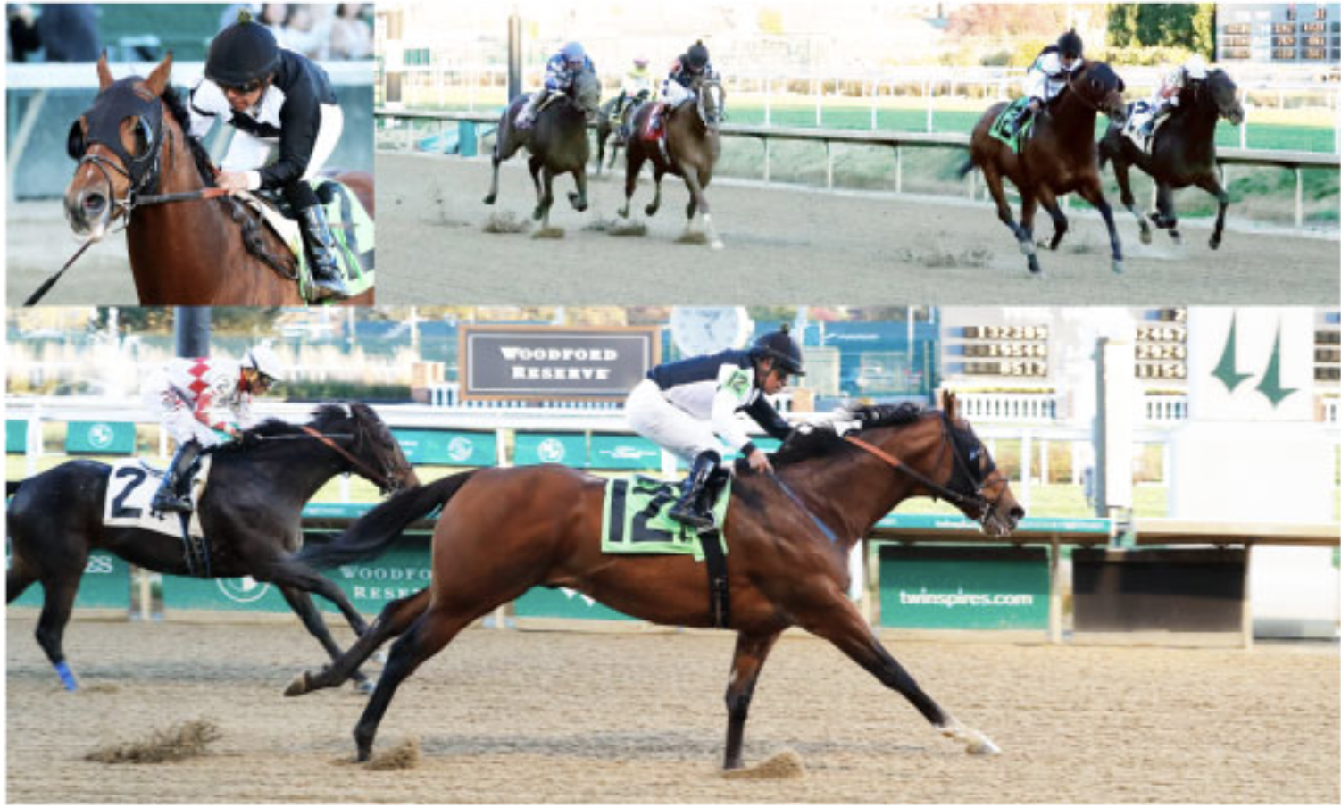 Sport of Kings Racing