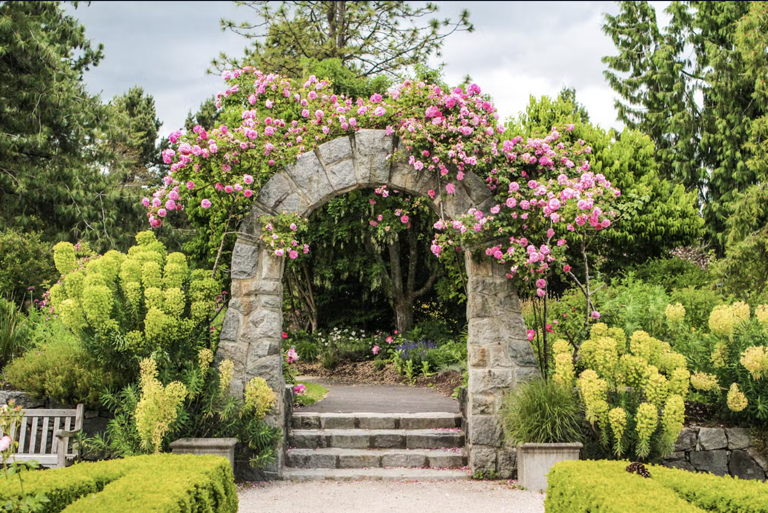 VanDusen Botanical Garden Shaughnessy Vancouver stone archway with climbing pink roses and manicured formal gardens showcasing luxury neighborhood's premier botanical attraction and estate-quality landscaping inspiration