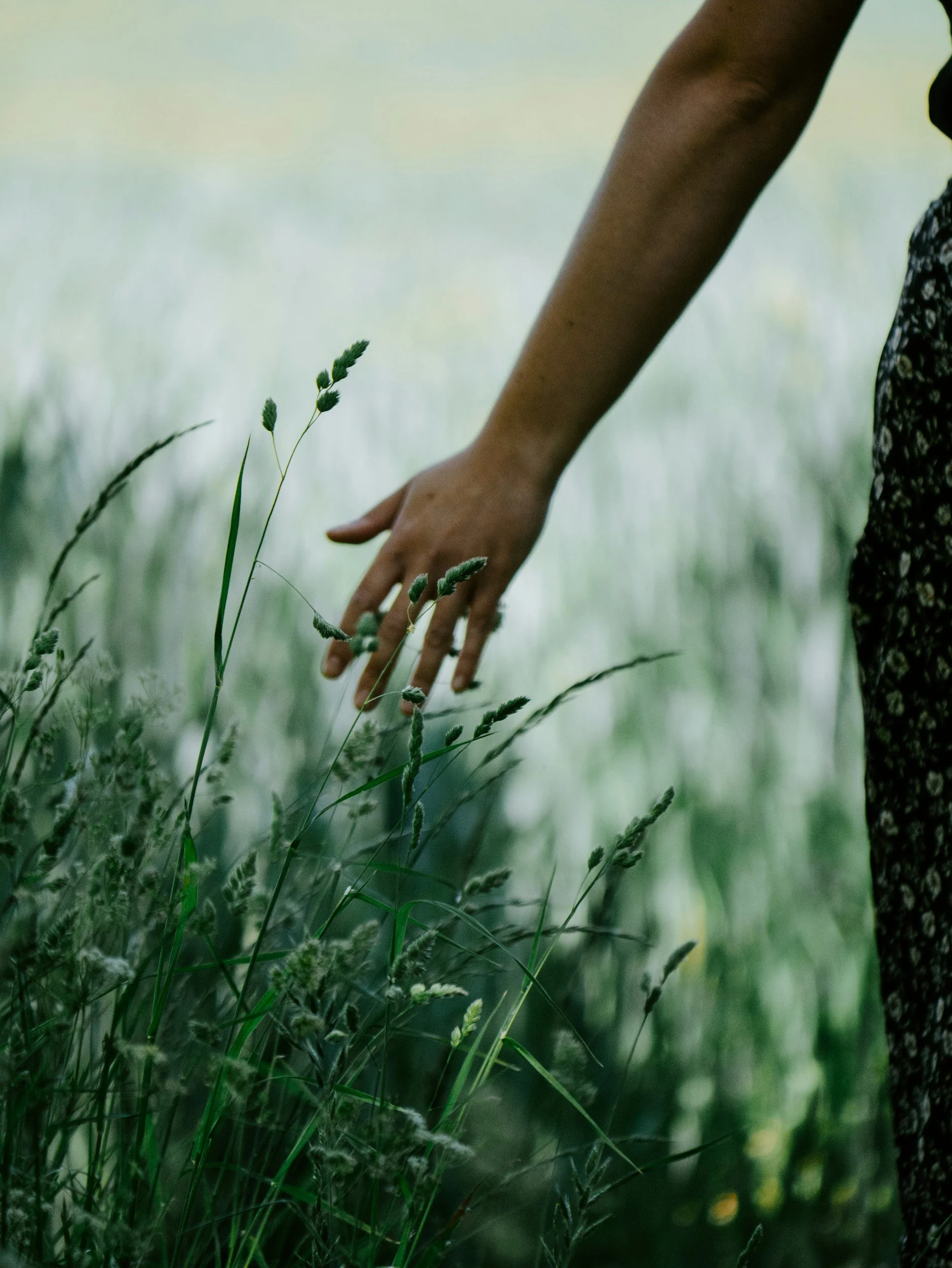 A person touching tall green grass in a field with a blurred natural background.
