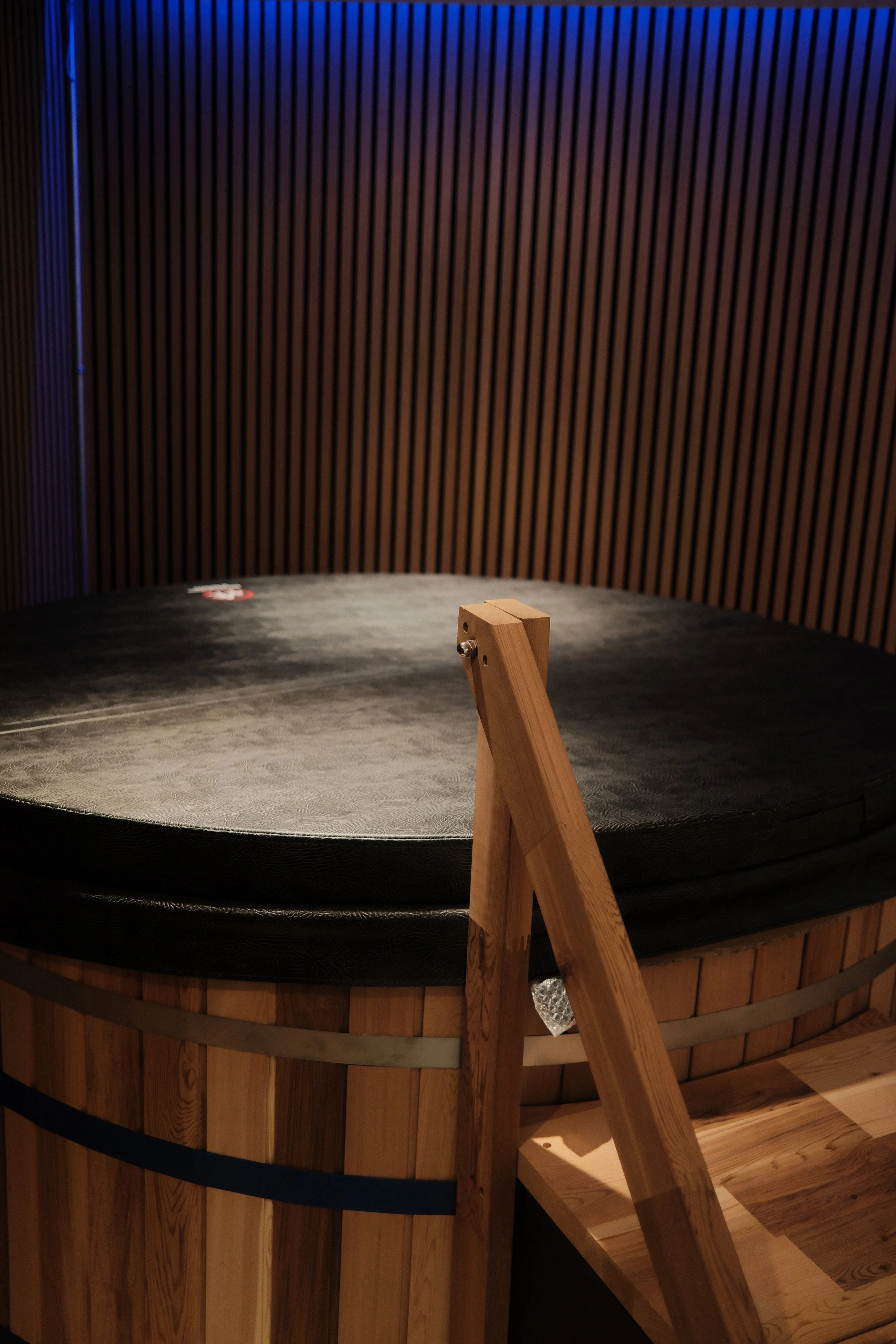 Wellness Facility Sauna 