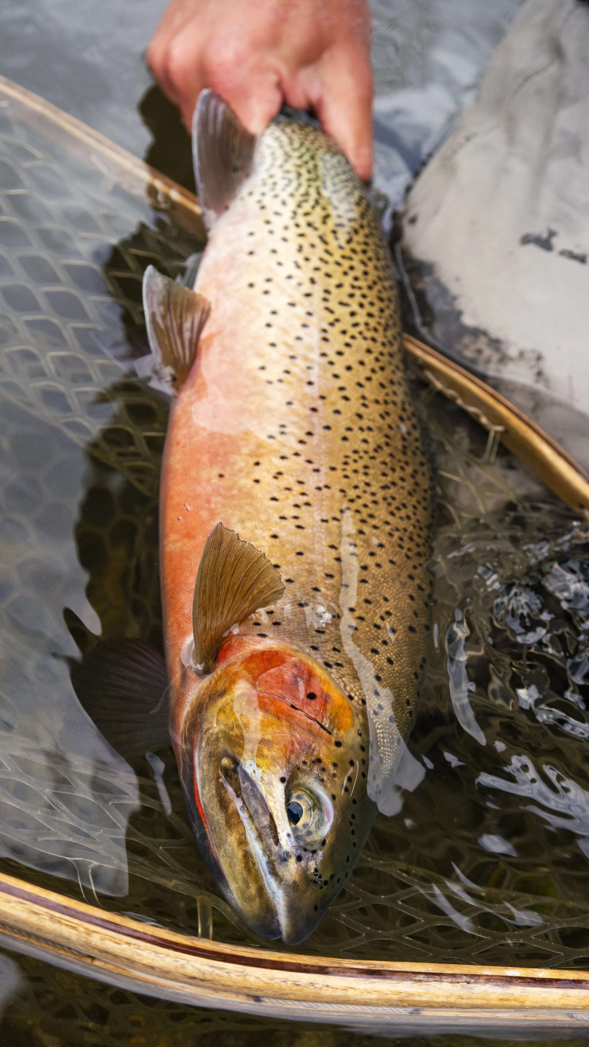 _DSC2891.jpeg