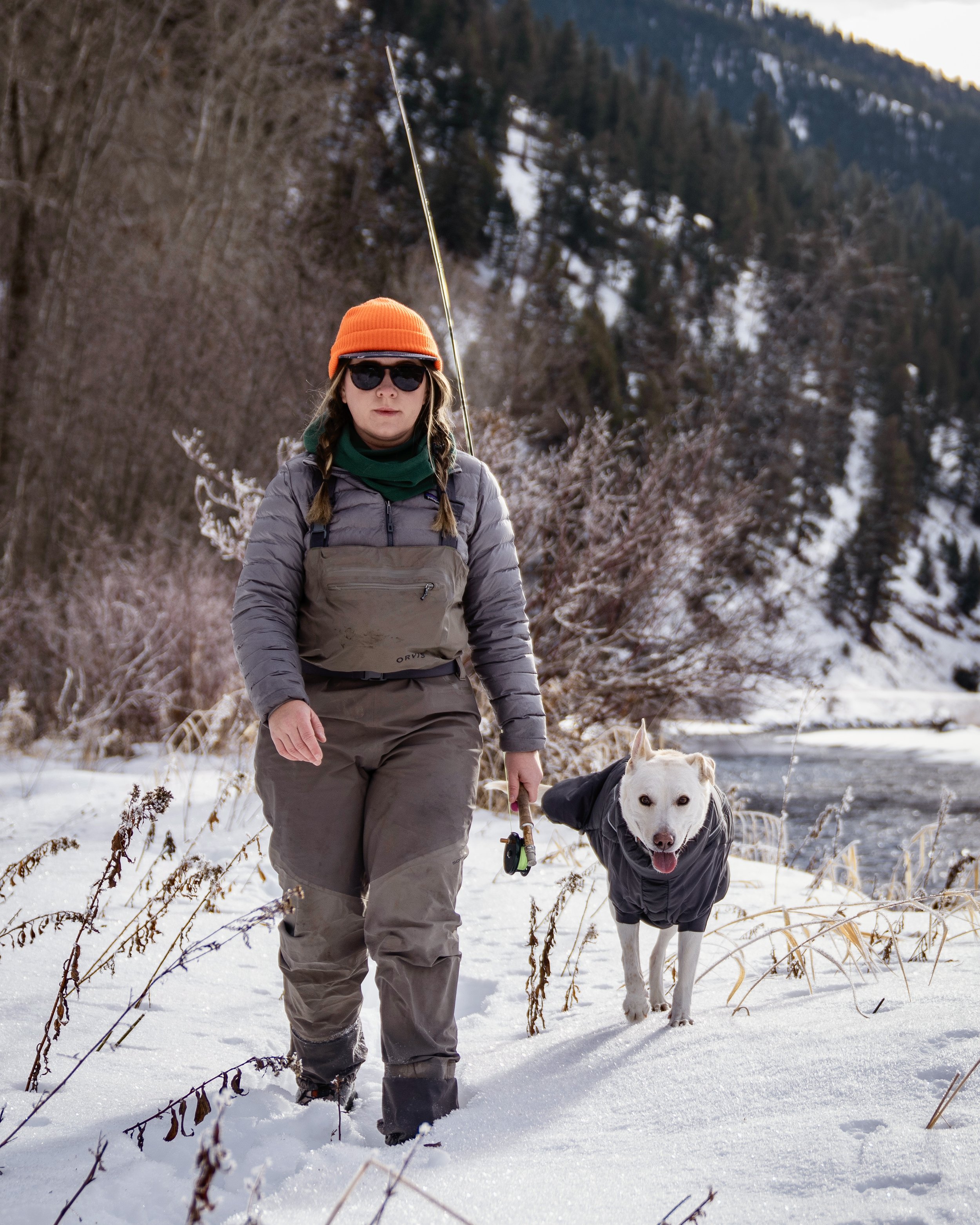 _DSC2977.jpeg