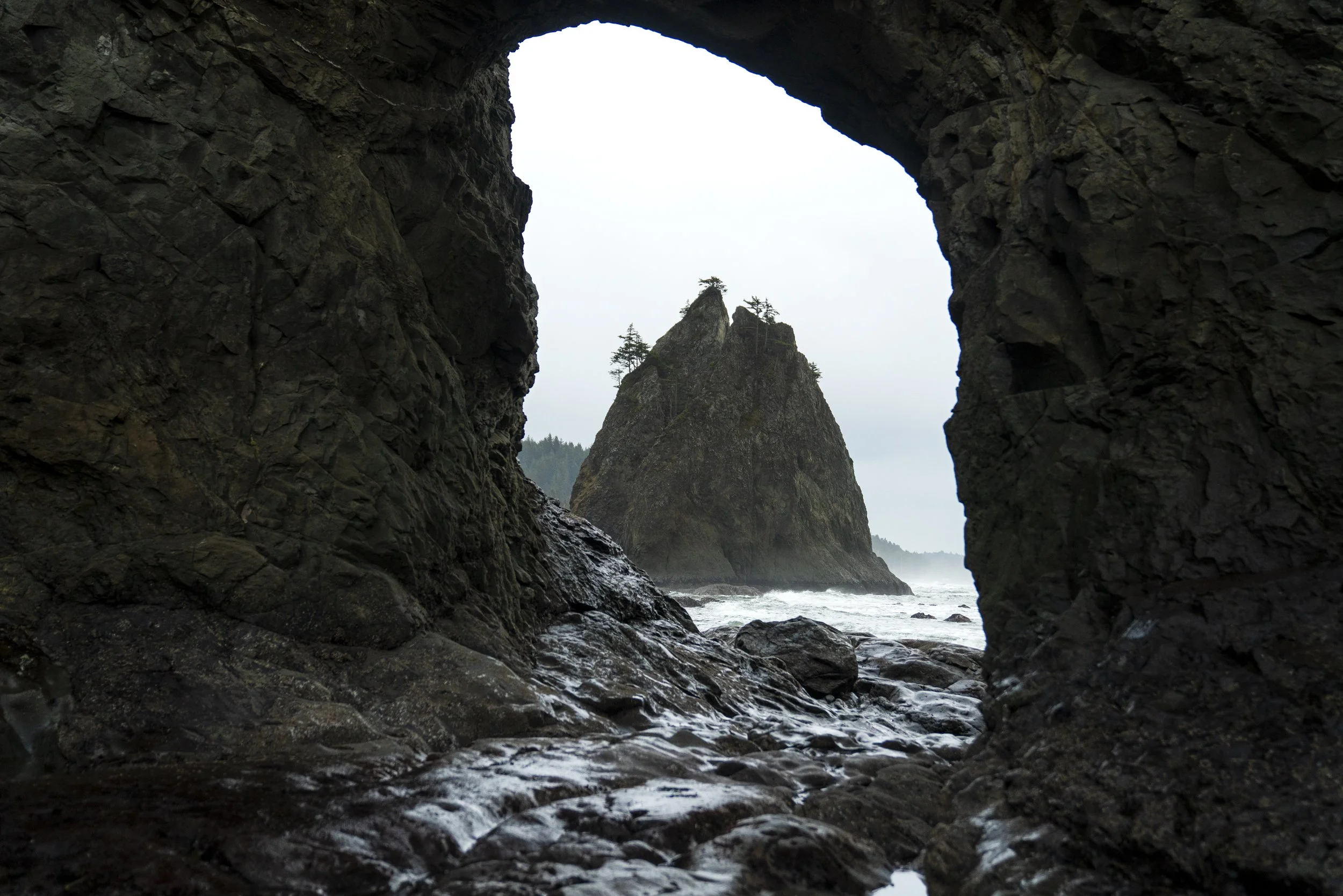 _DSC3639.jpeg