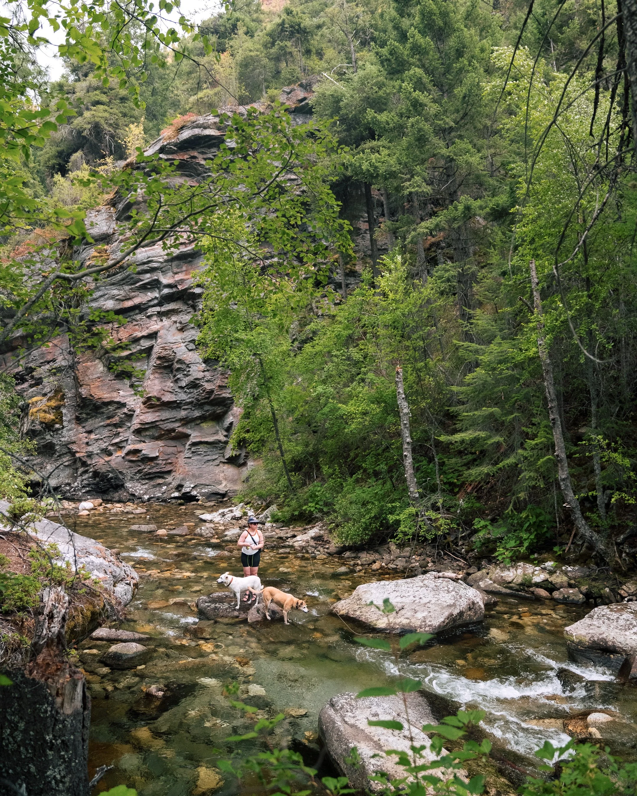 _DSC2207.jpeg