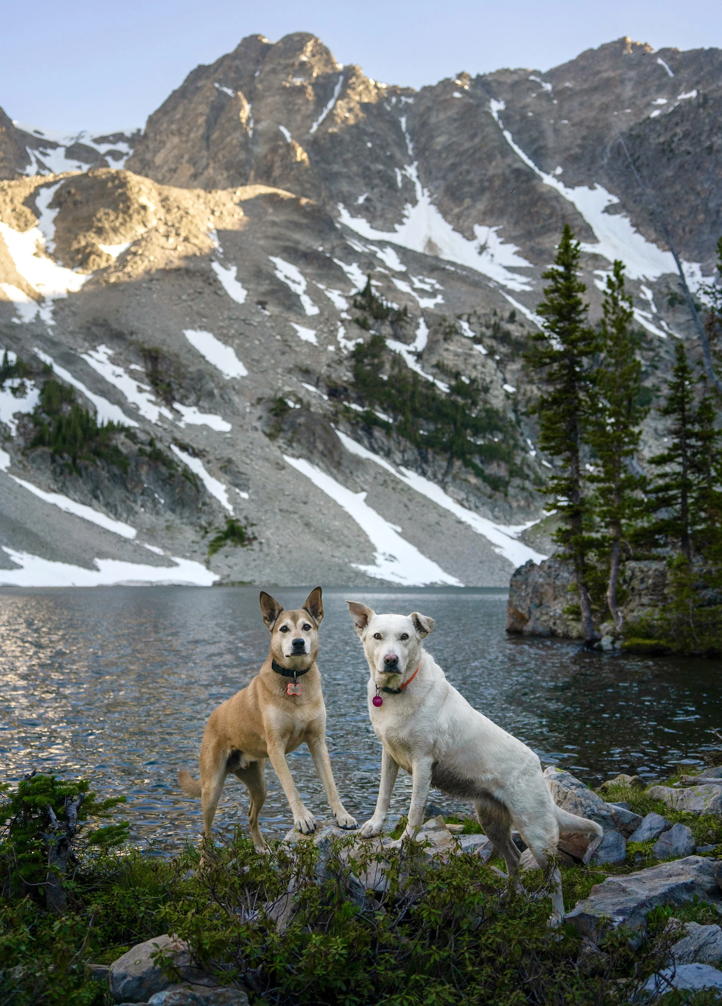 _DSC9184.jpeg