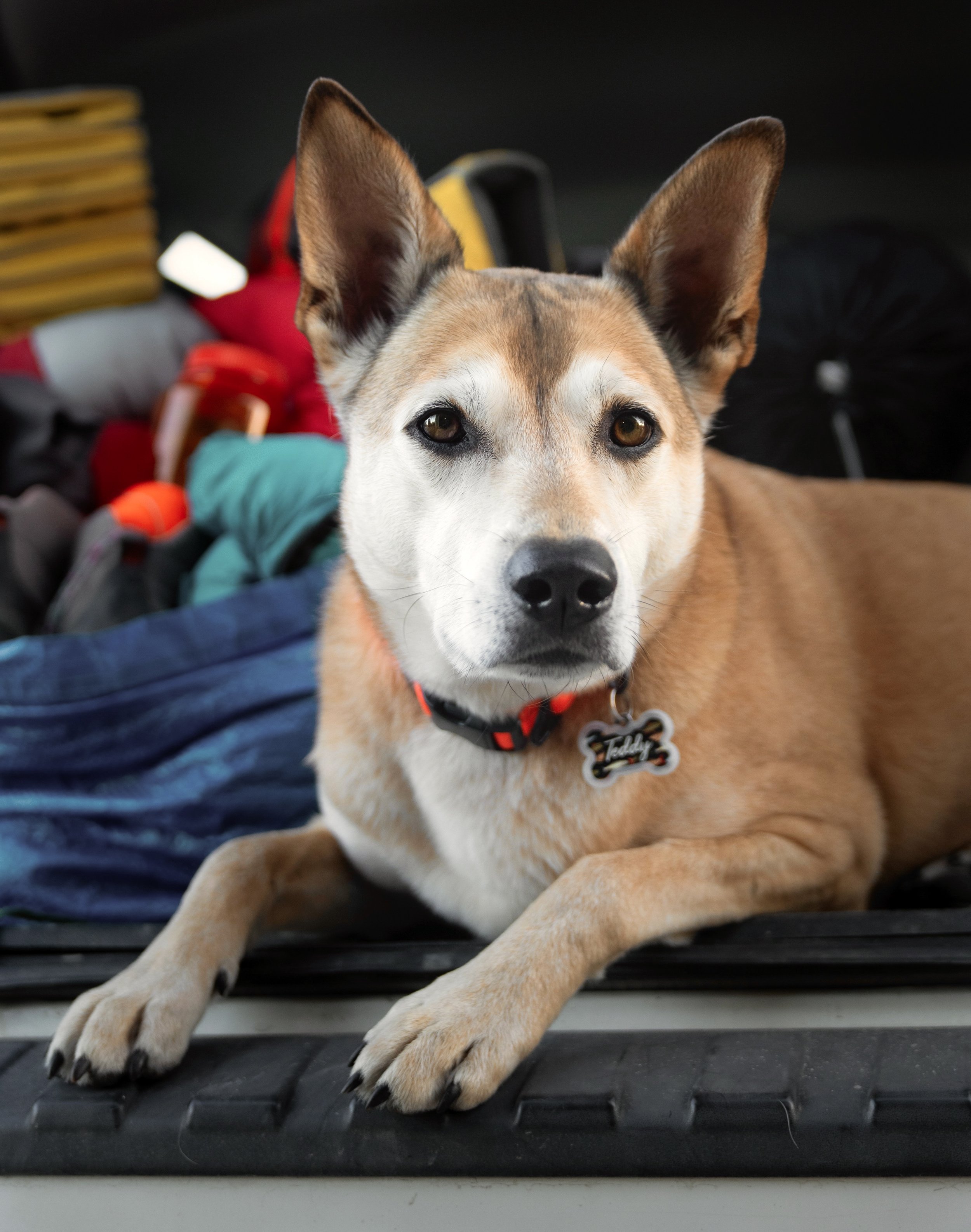 _DSC3938.jpeg