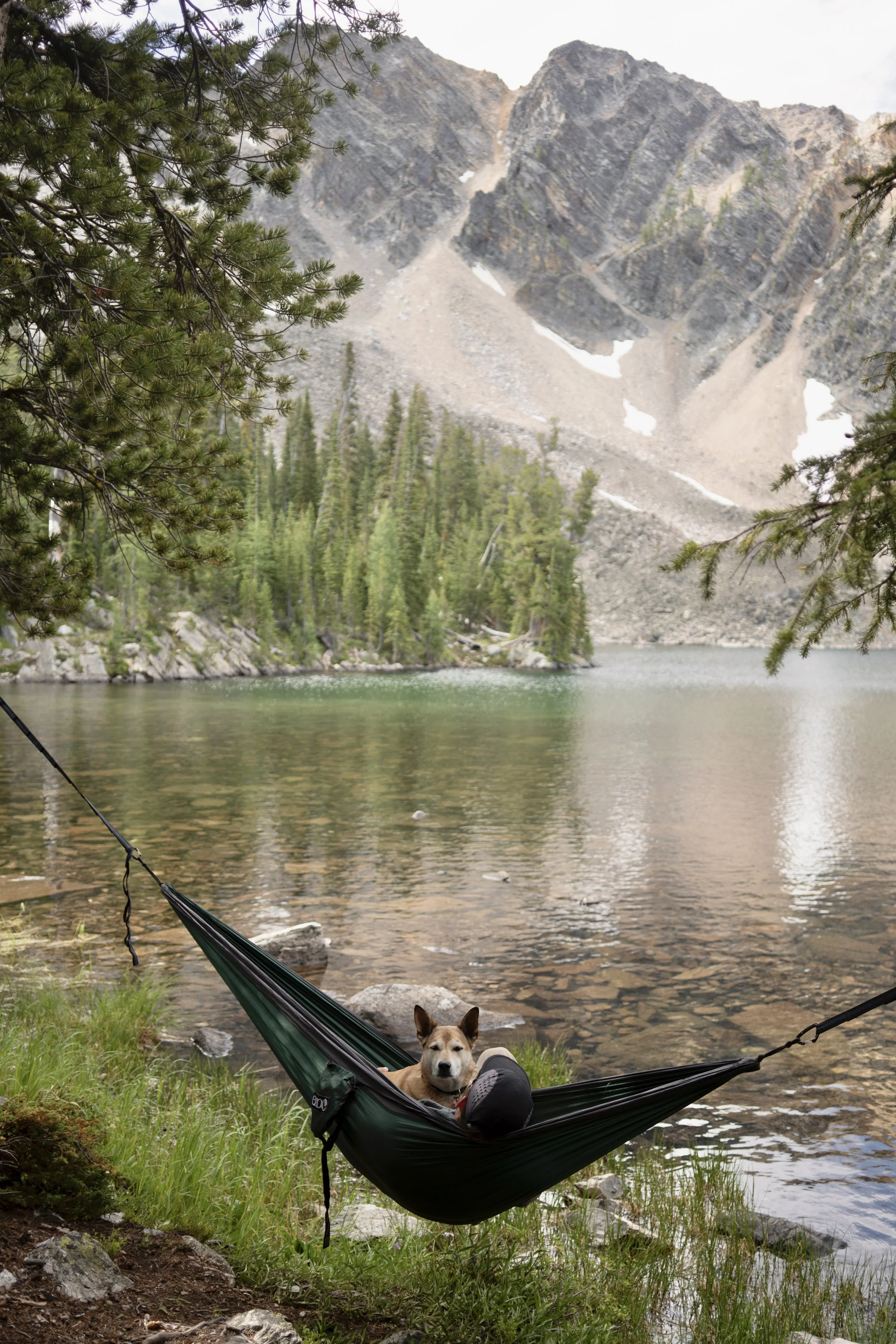 Leishman-Tamarack Lake-140.jpeg