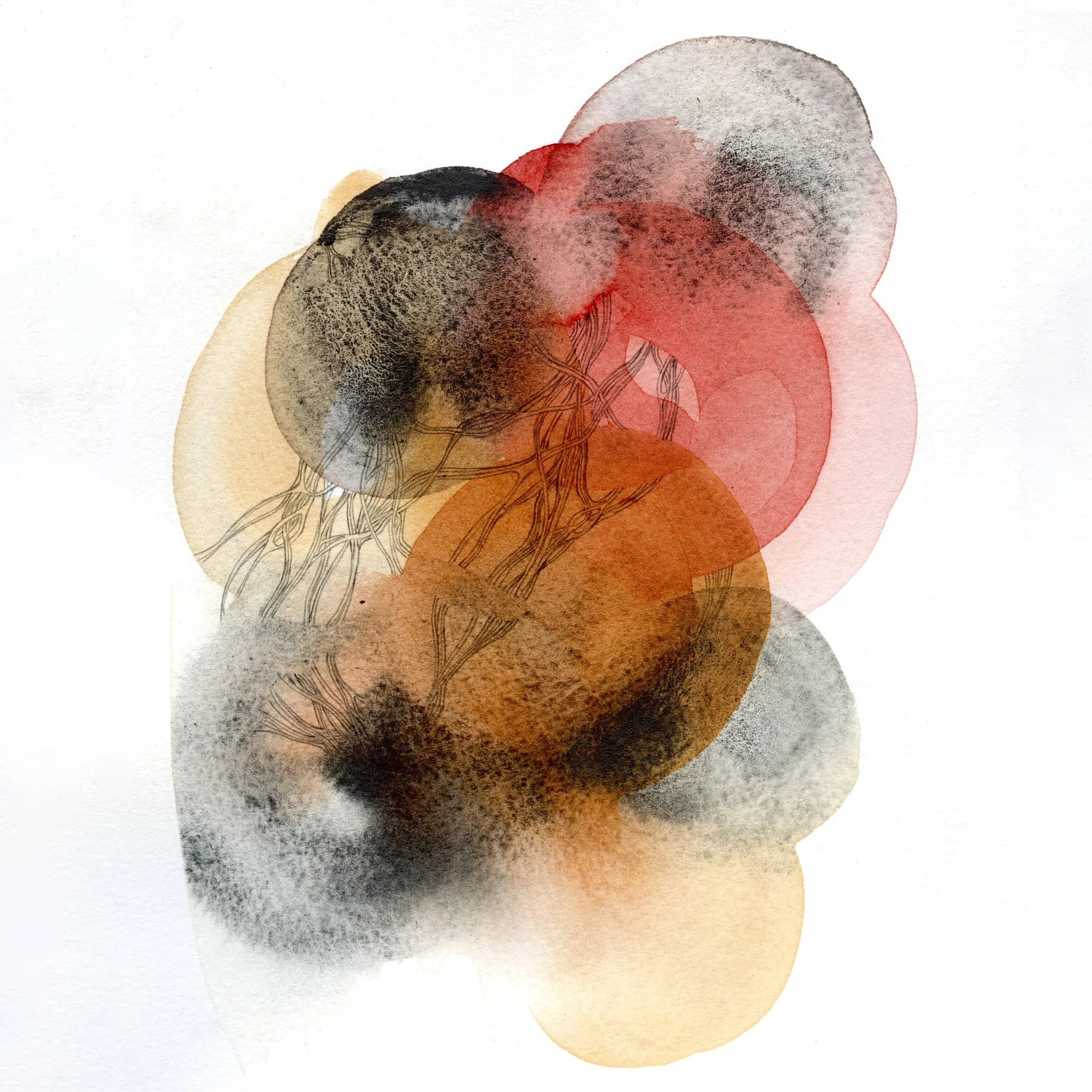 Hyphae - Series II