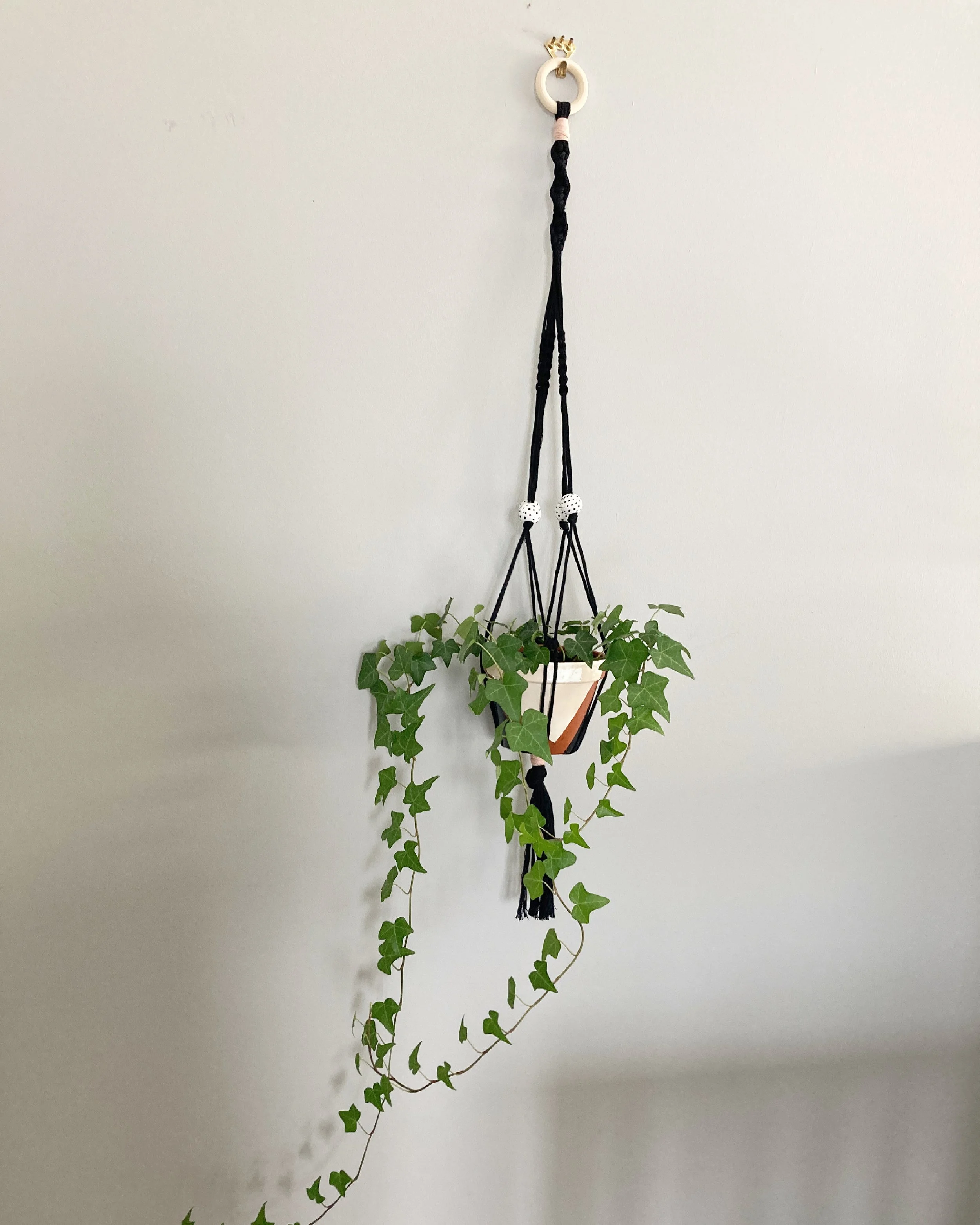 Macrame Plant Hangers at The Forge