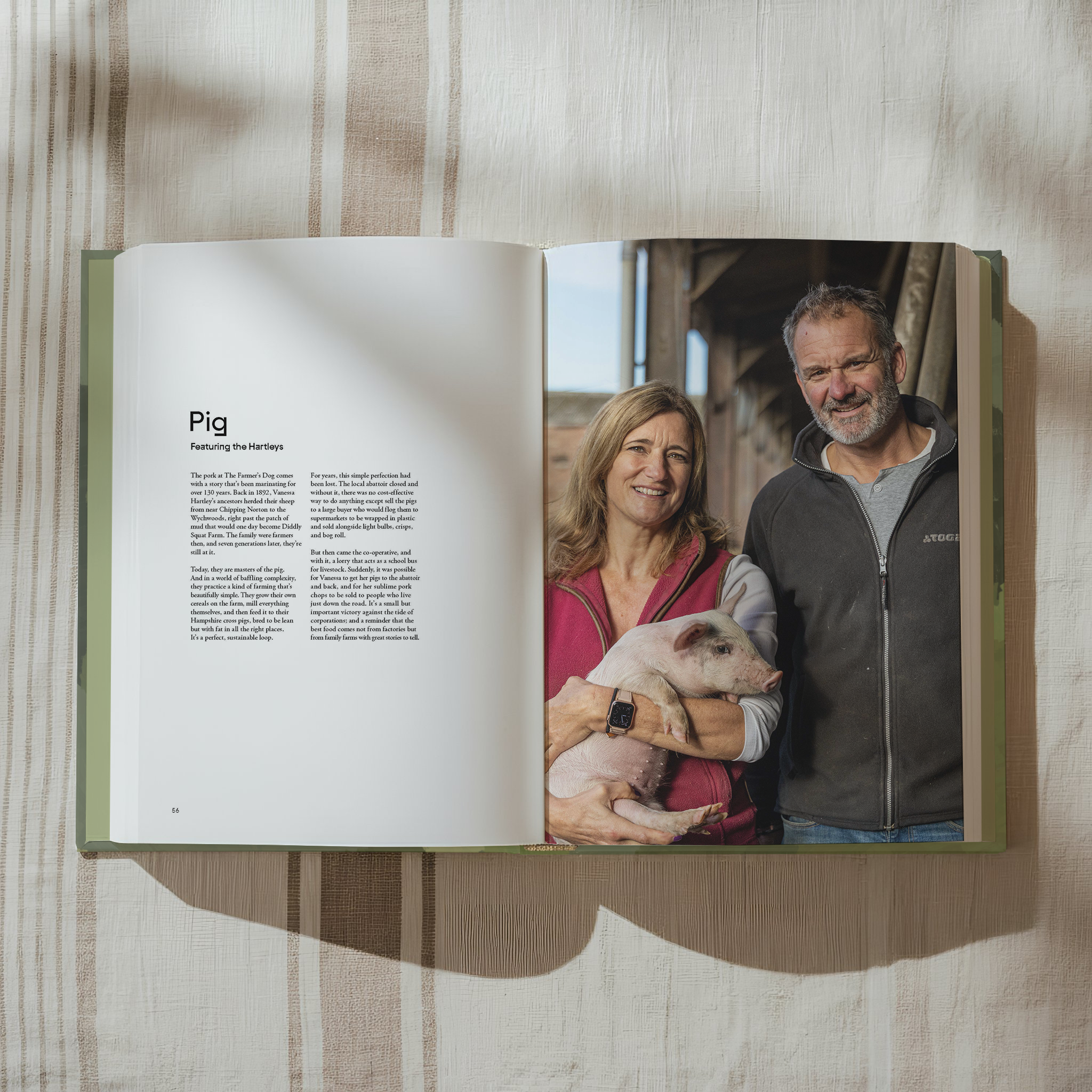 HWK_111725_Interior_Pig_R1.png