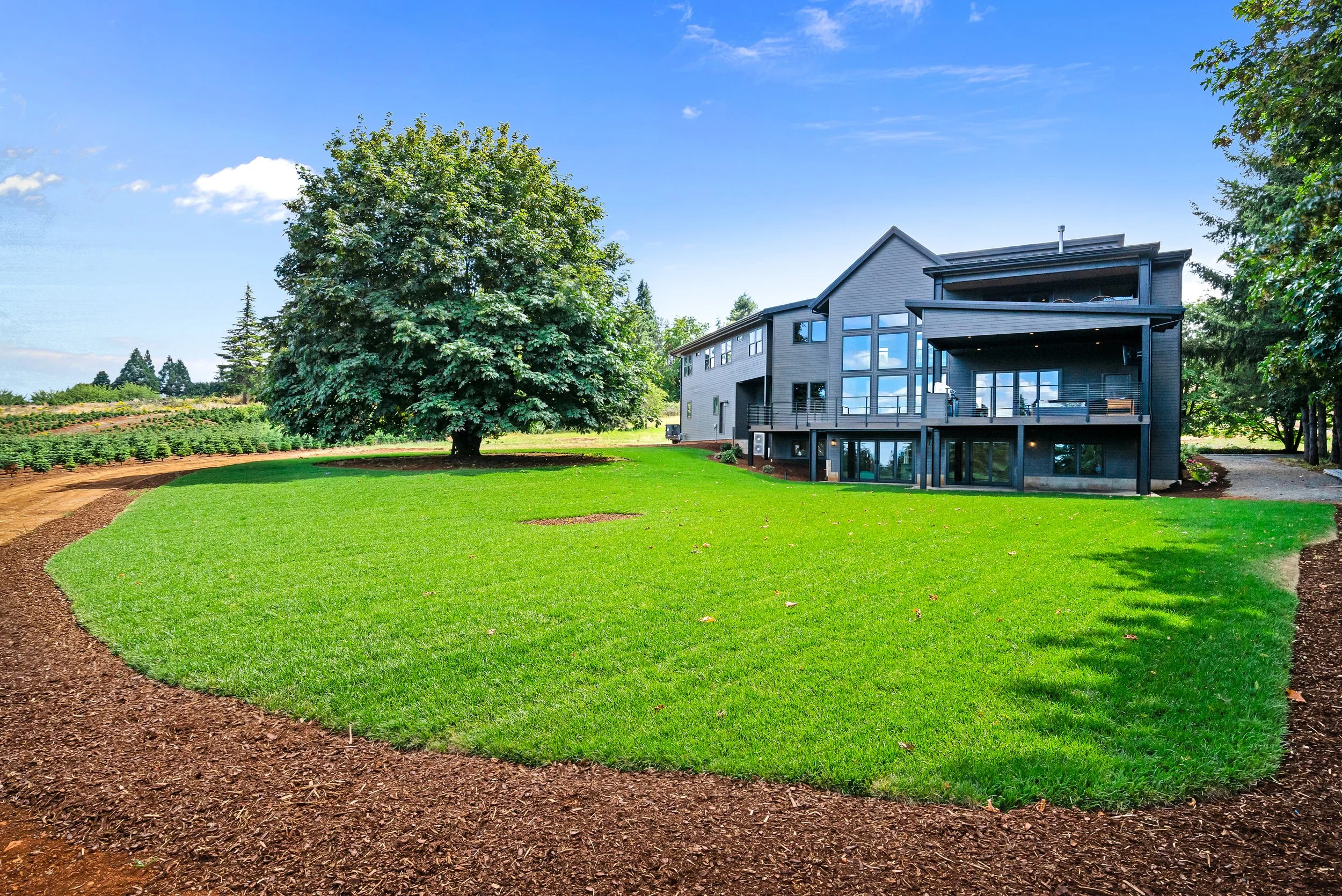 A modern house with large windows and a deck surrounded by green lawn, trees, and a brown mulch pathway under a blue sky.