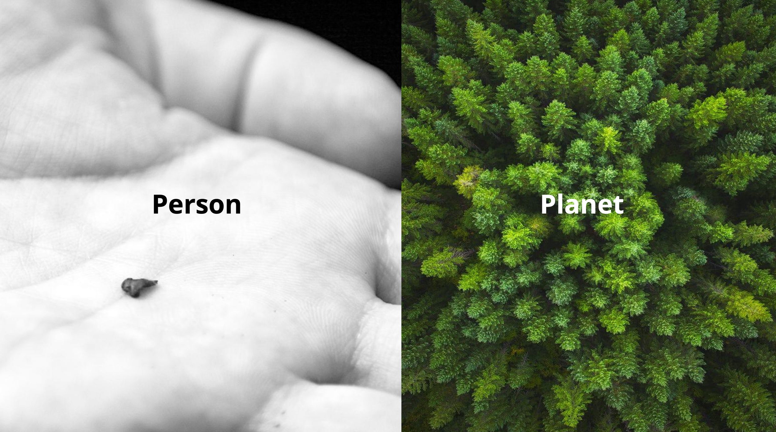 A side-by-side comparison of a black and white photograph of a person lying on a bed, labeled 'Person,' and a top-down aerial view of a green forest, labeled 'Planet.'
