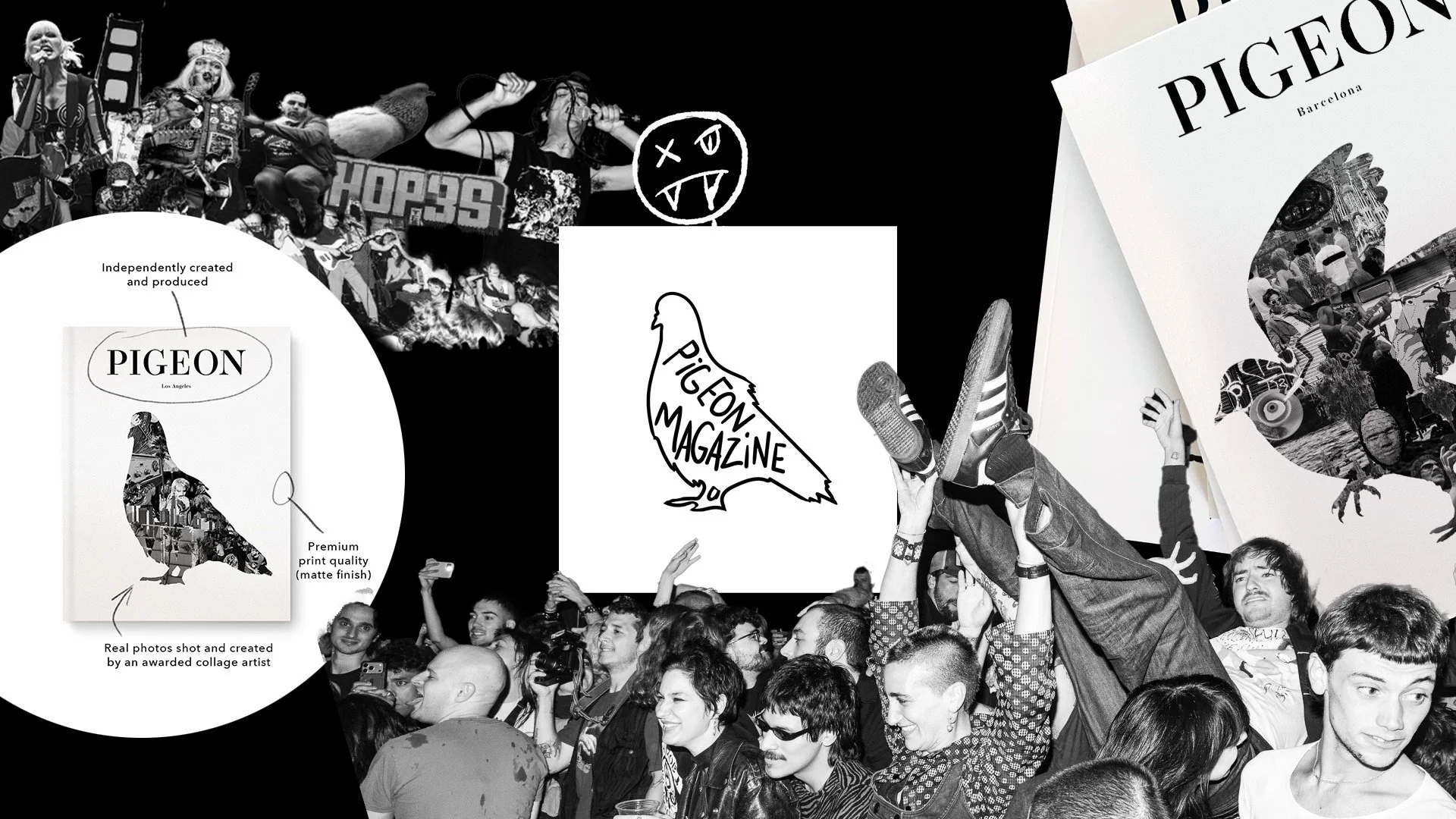 pigeon-1.jpg