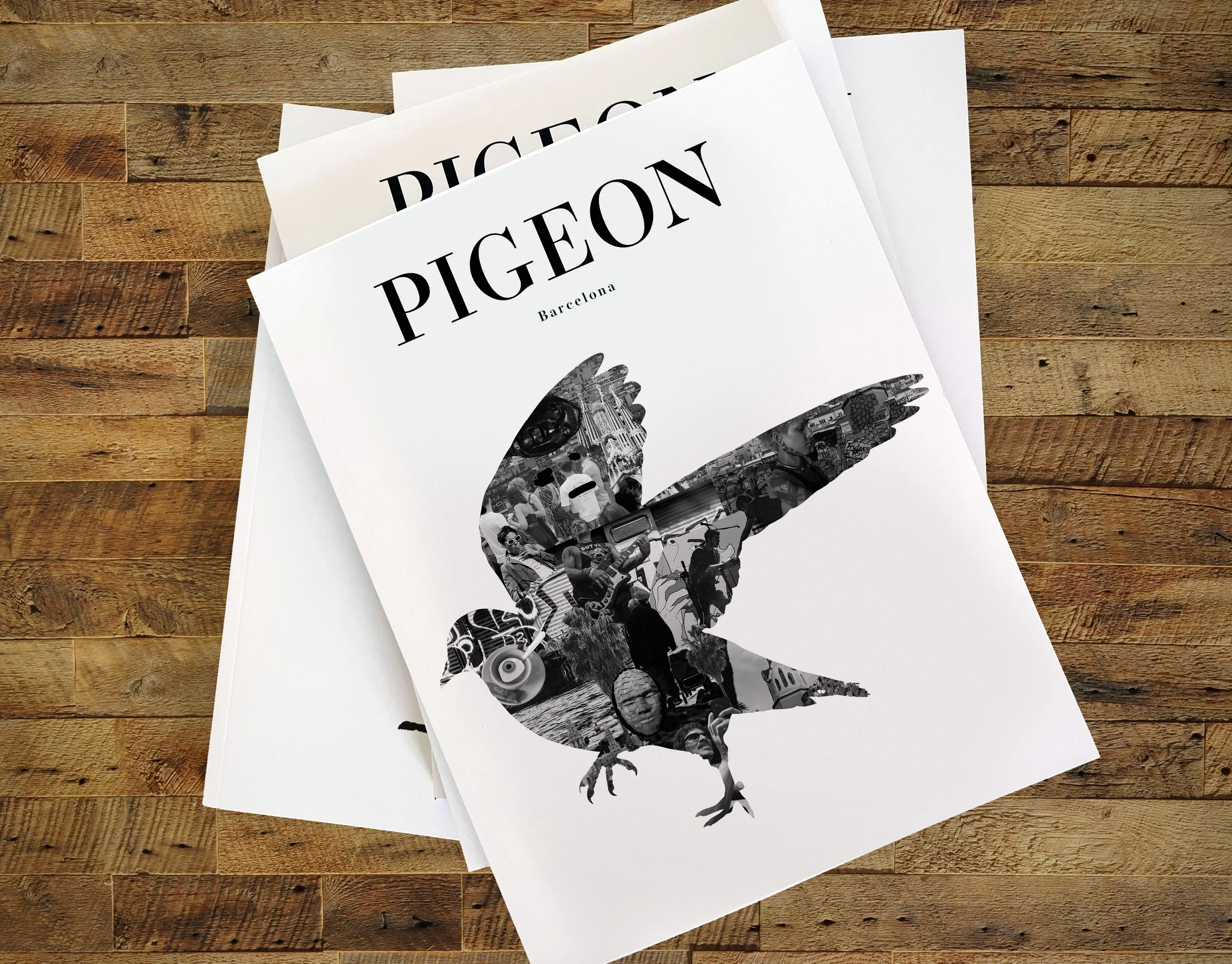 pigeon-bcn-cover.jpg