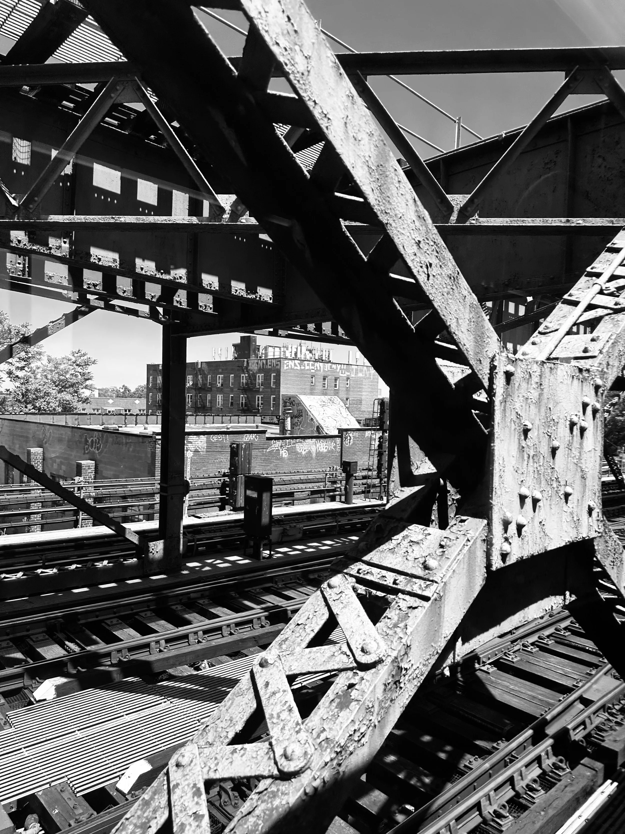 view from the Subway Bronx, NY