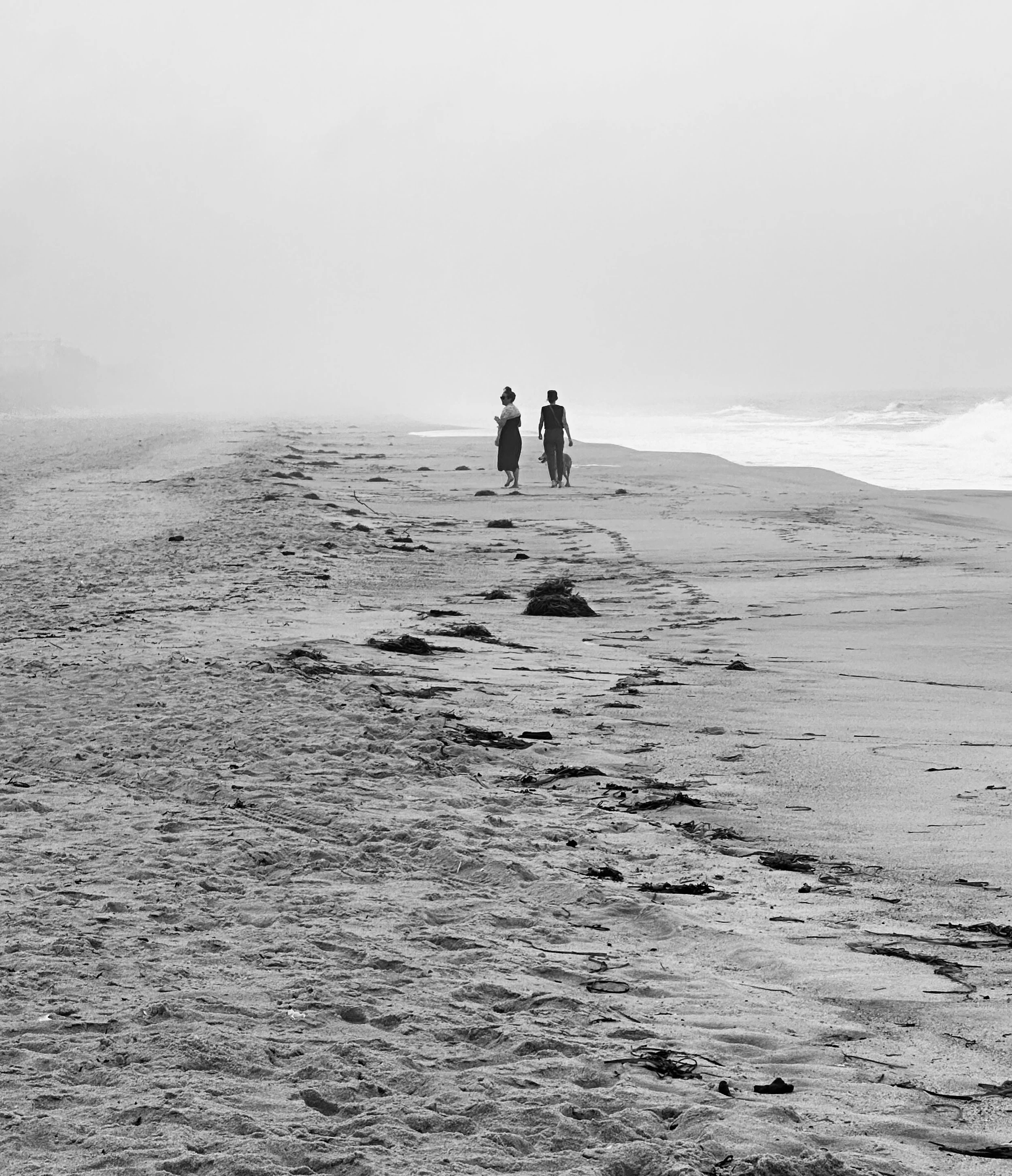 Beach Walking Georgica Beach 