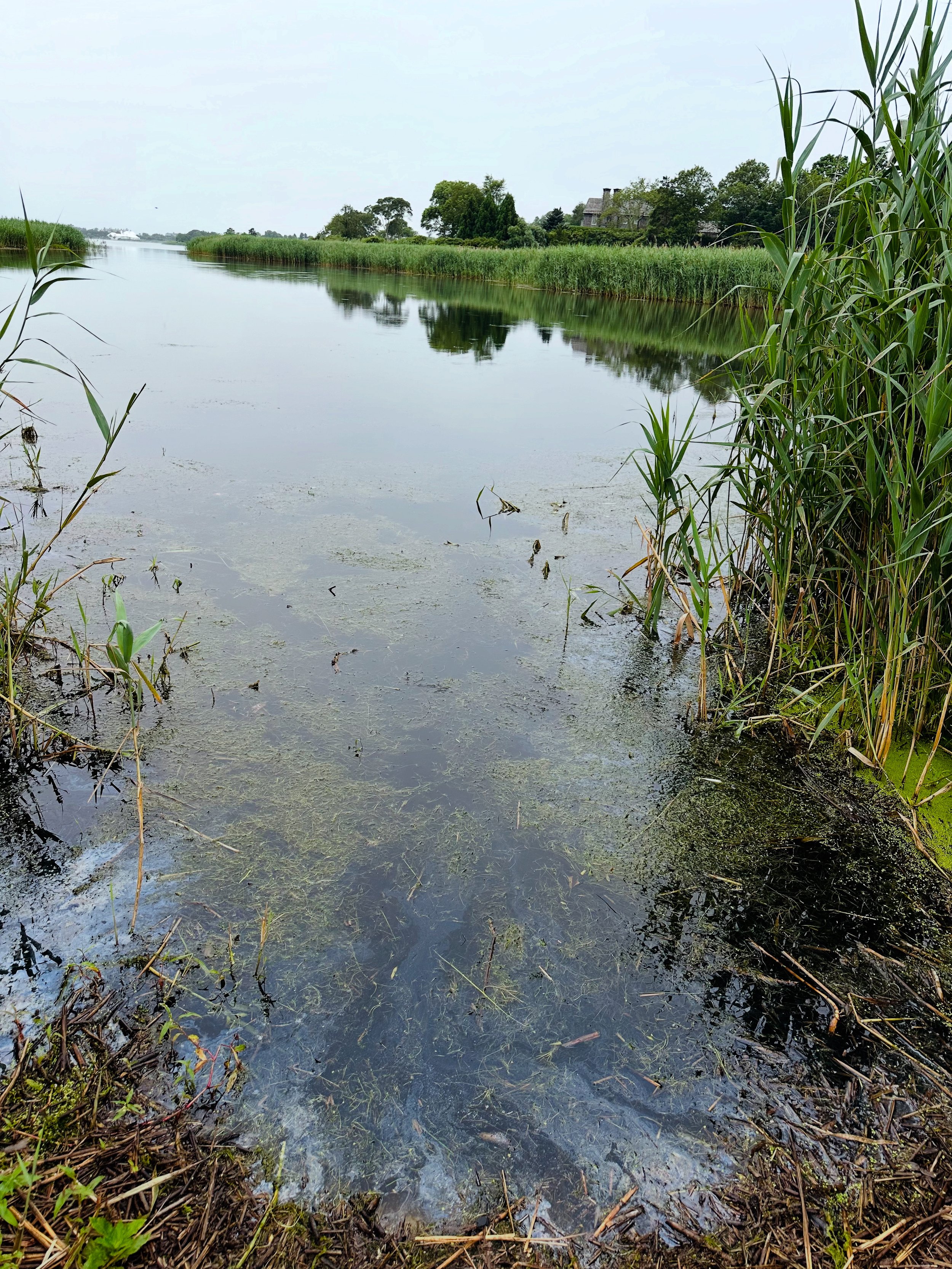 Georgica Pond #1 East Hampton, NY