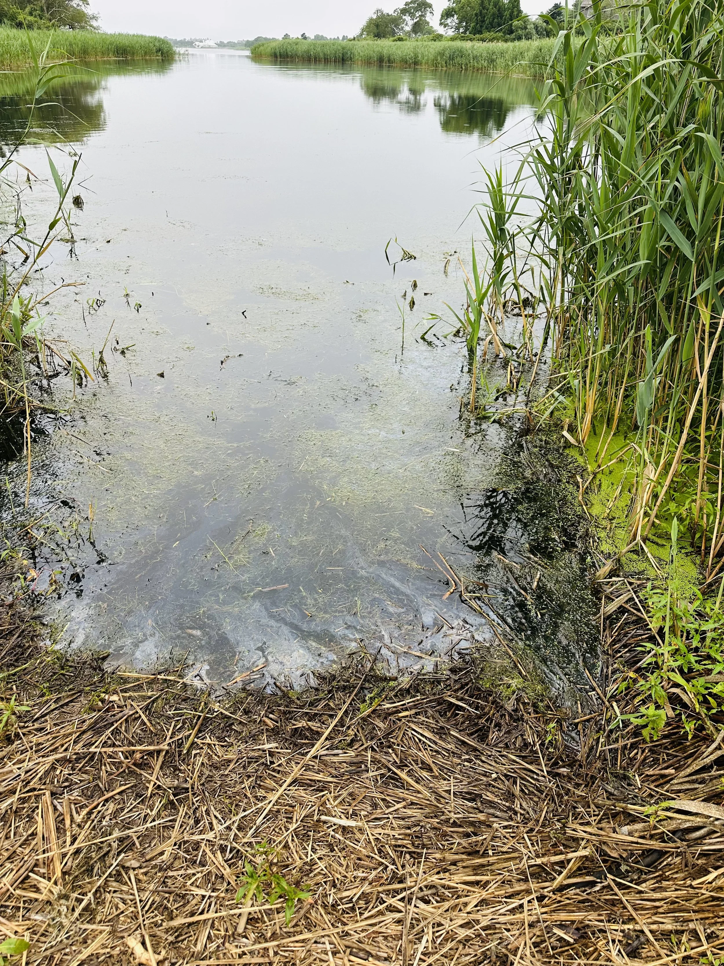 Georgica Pond #2 East Hampton, NY