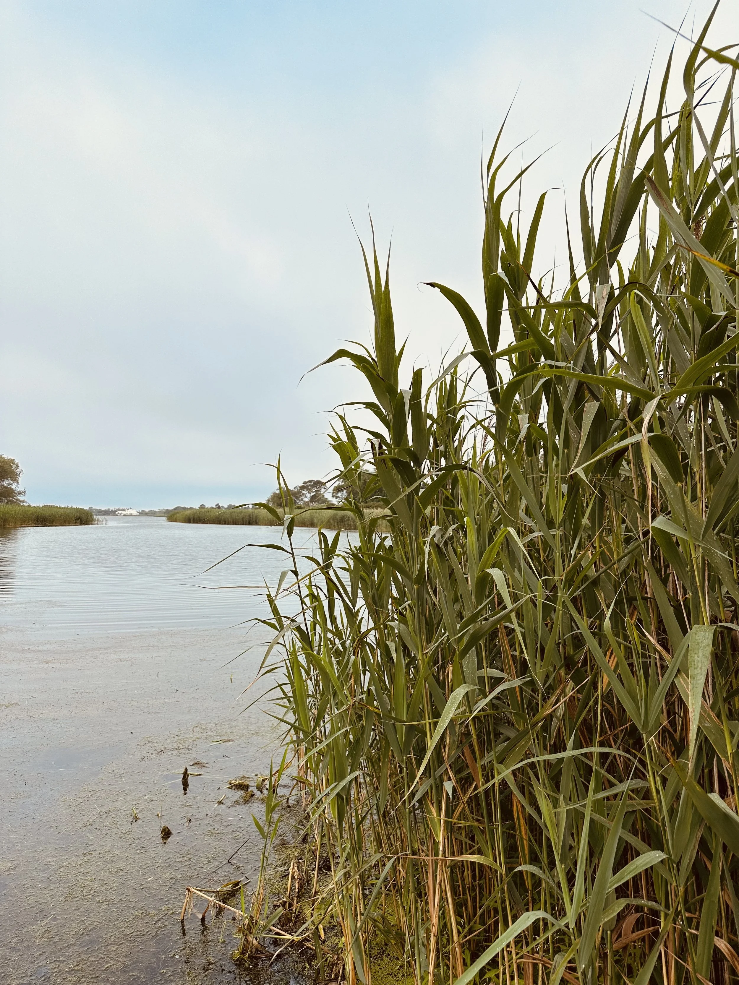 Geogica Pond #3 East Hampton, NY