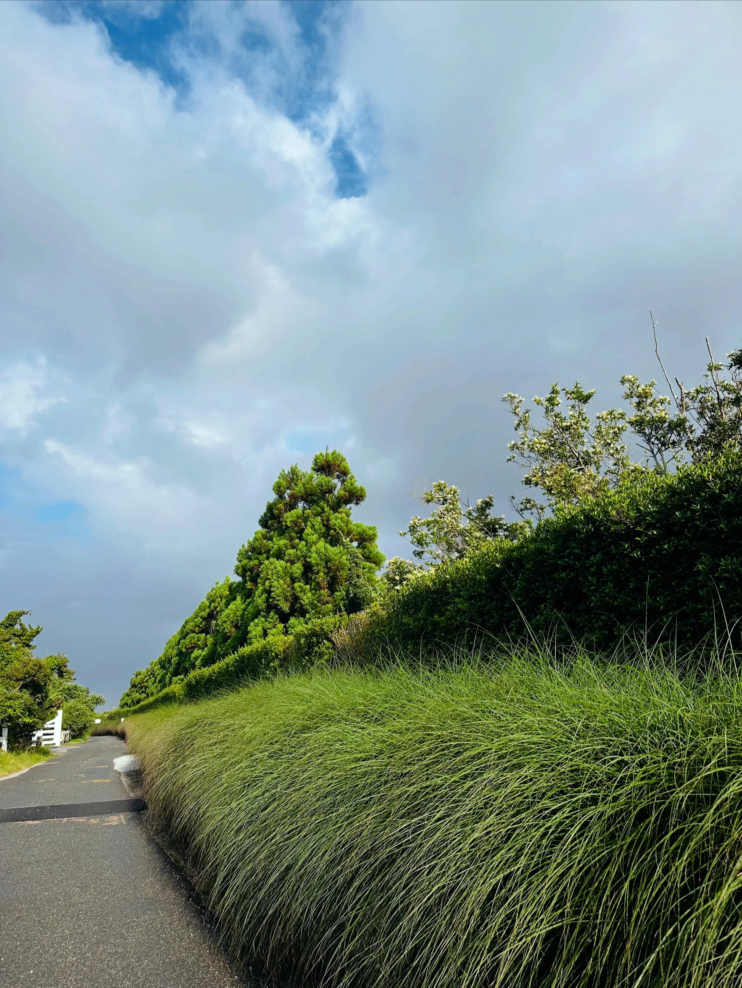 Hedgerow East Hampton, NY