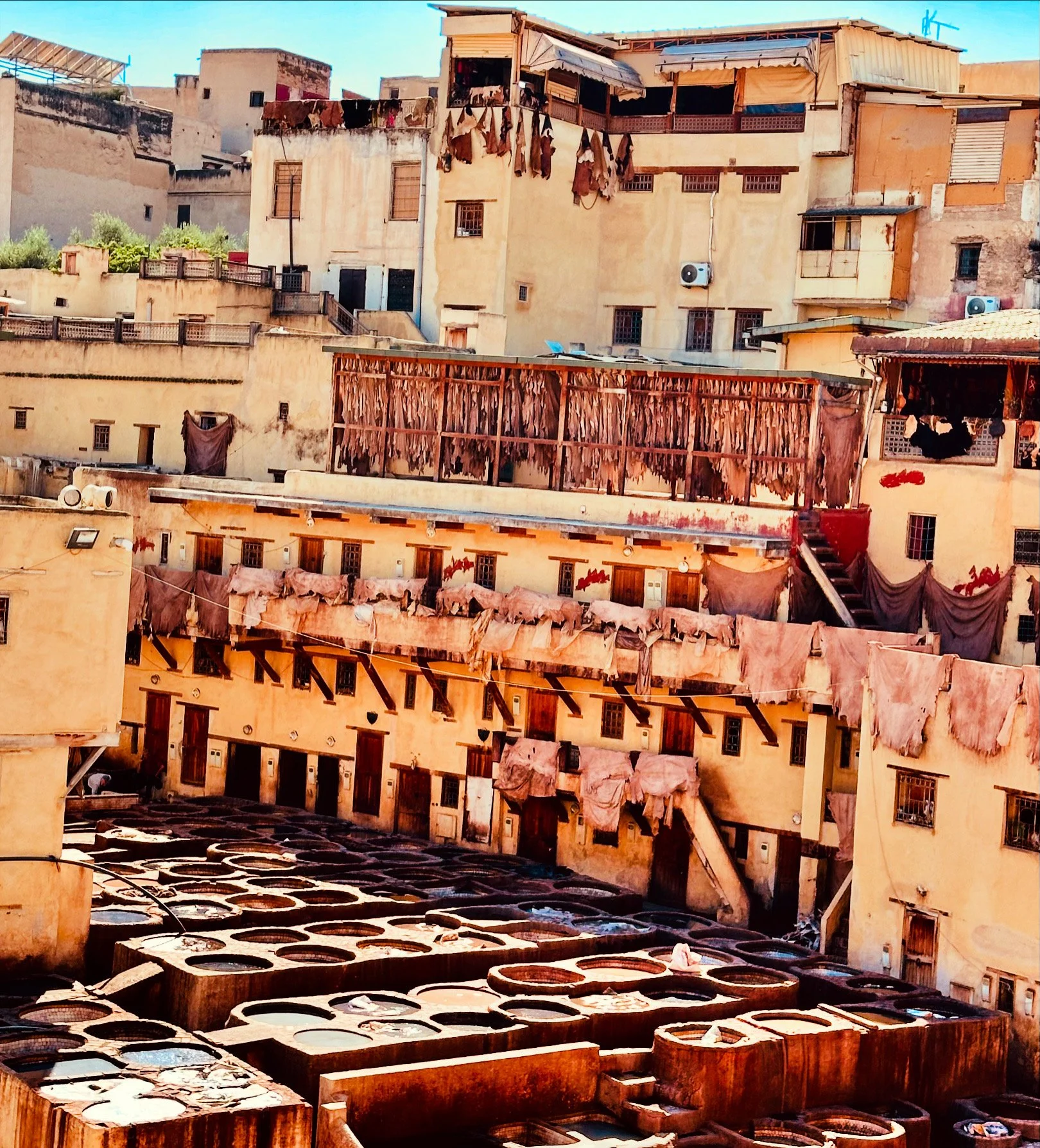 Tannery  Fez, Morocco