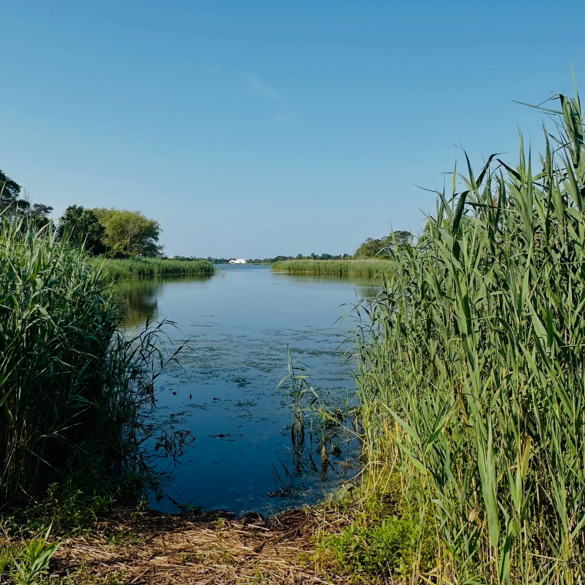 Georgica Pond#4. East Hampton, NY