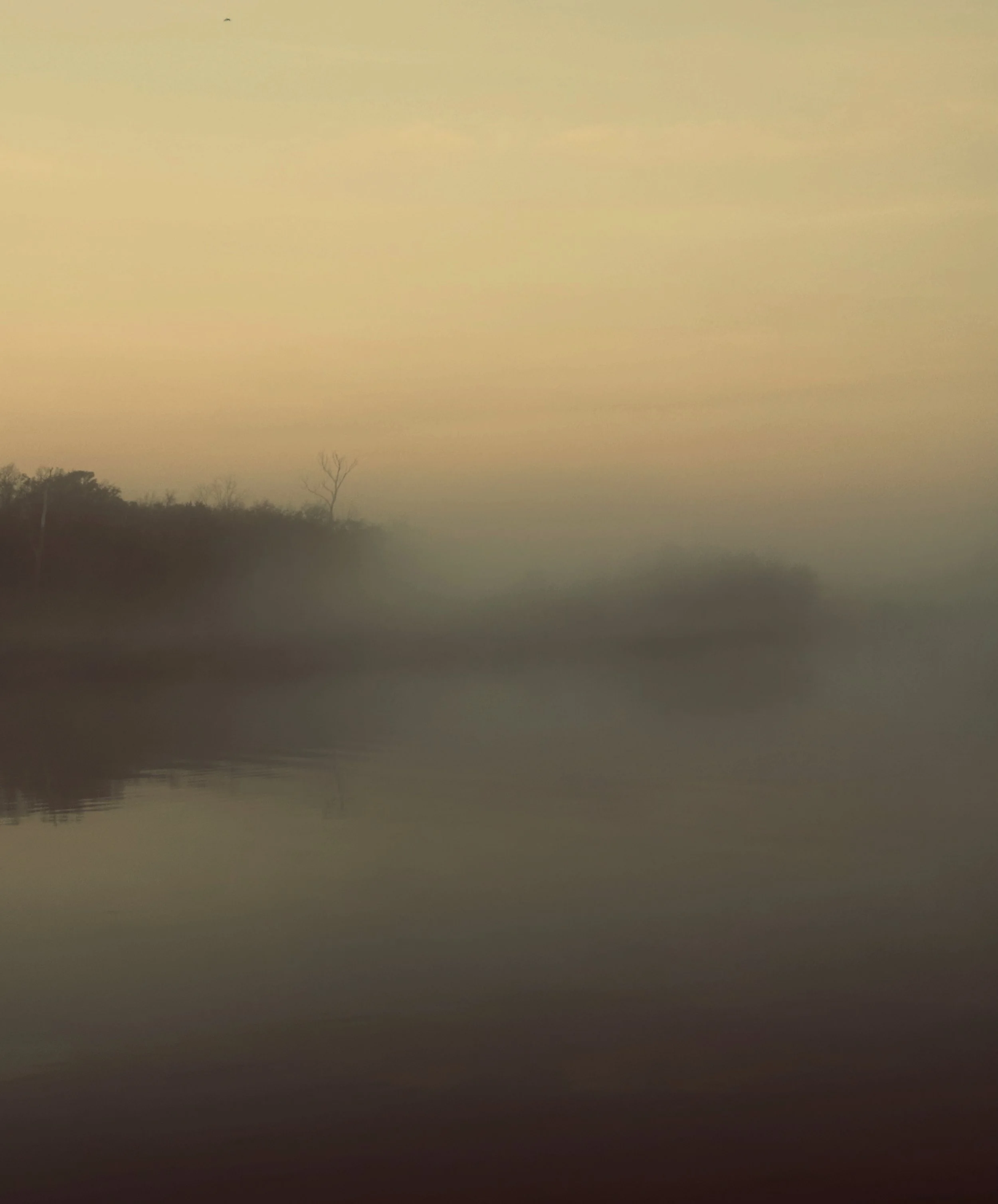 Fog on the River. Wilmington, NC