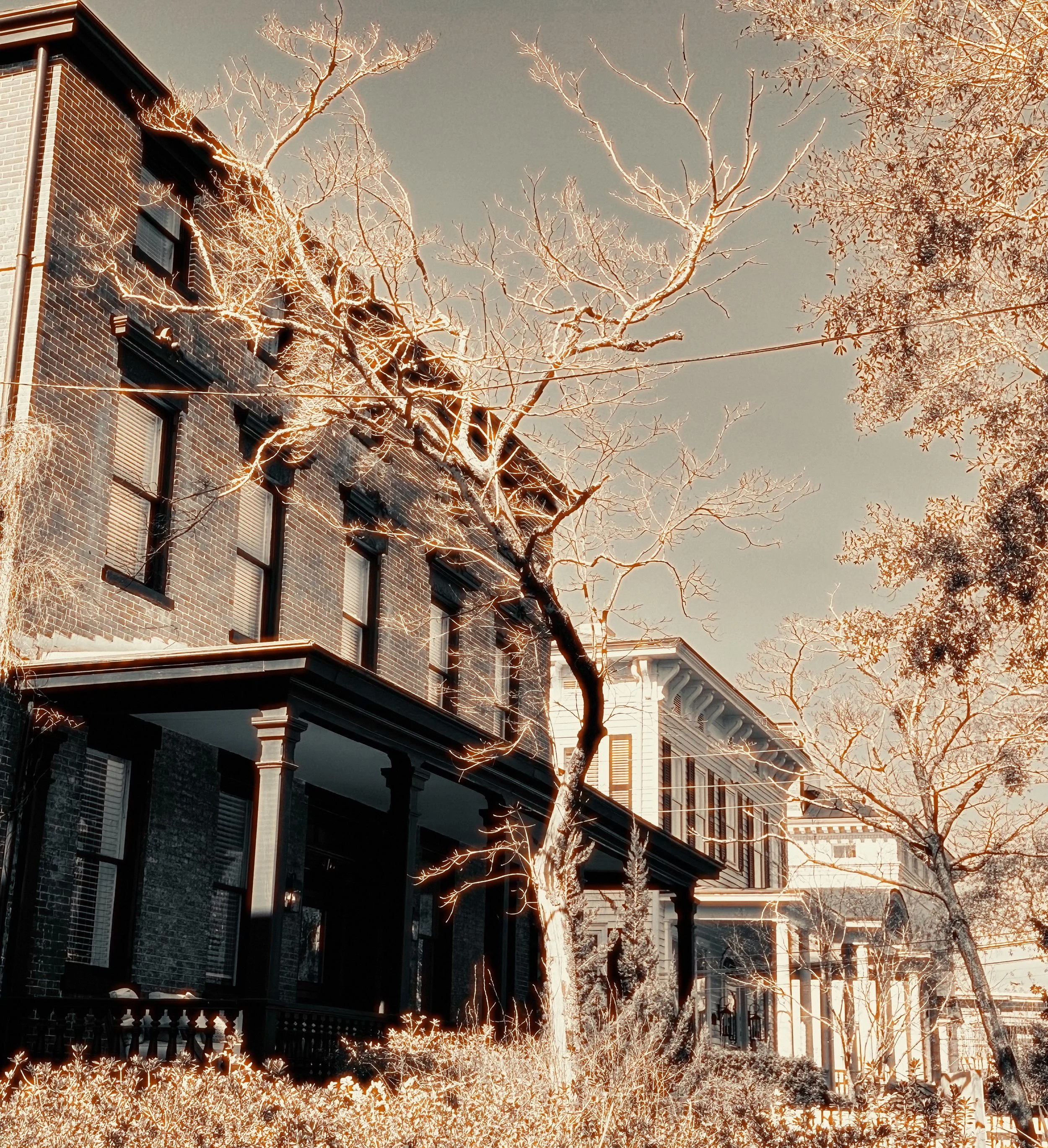 Row of Historic houses Wilmington, NC