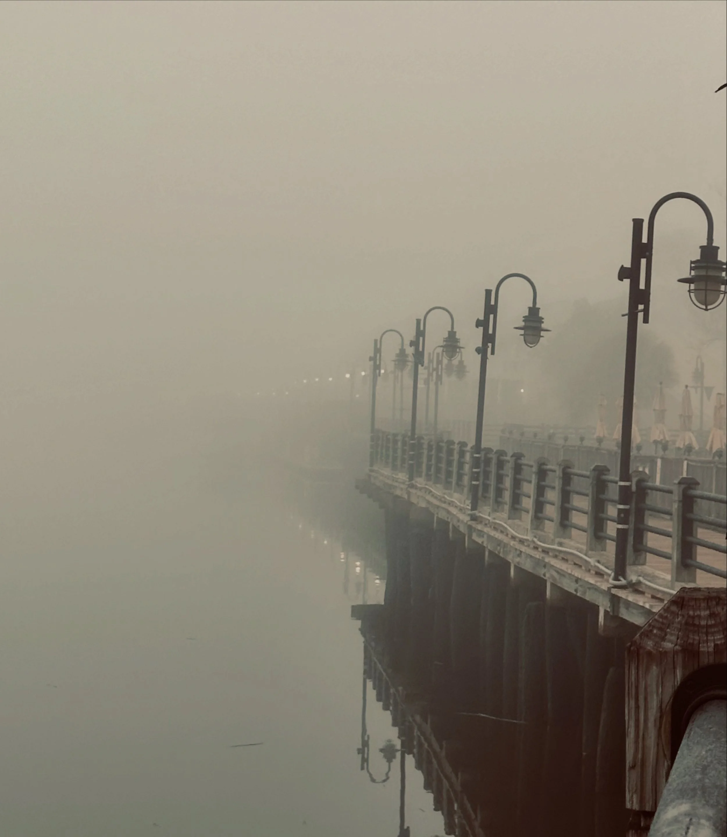 Foggy Morning Wilmington, NC