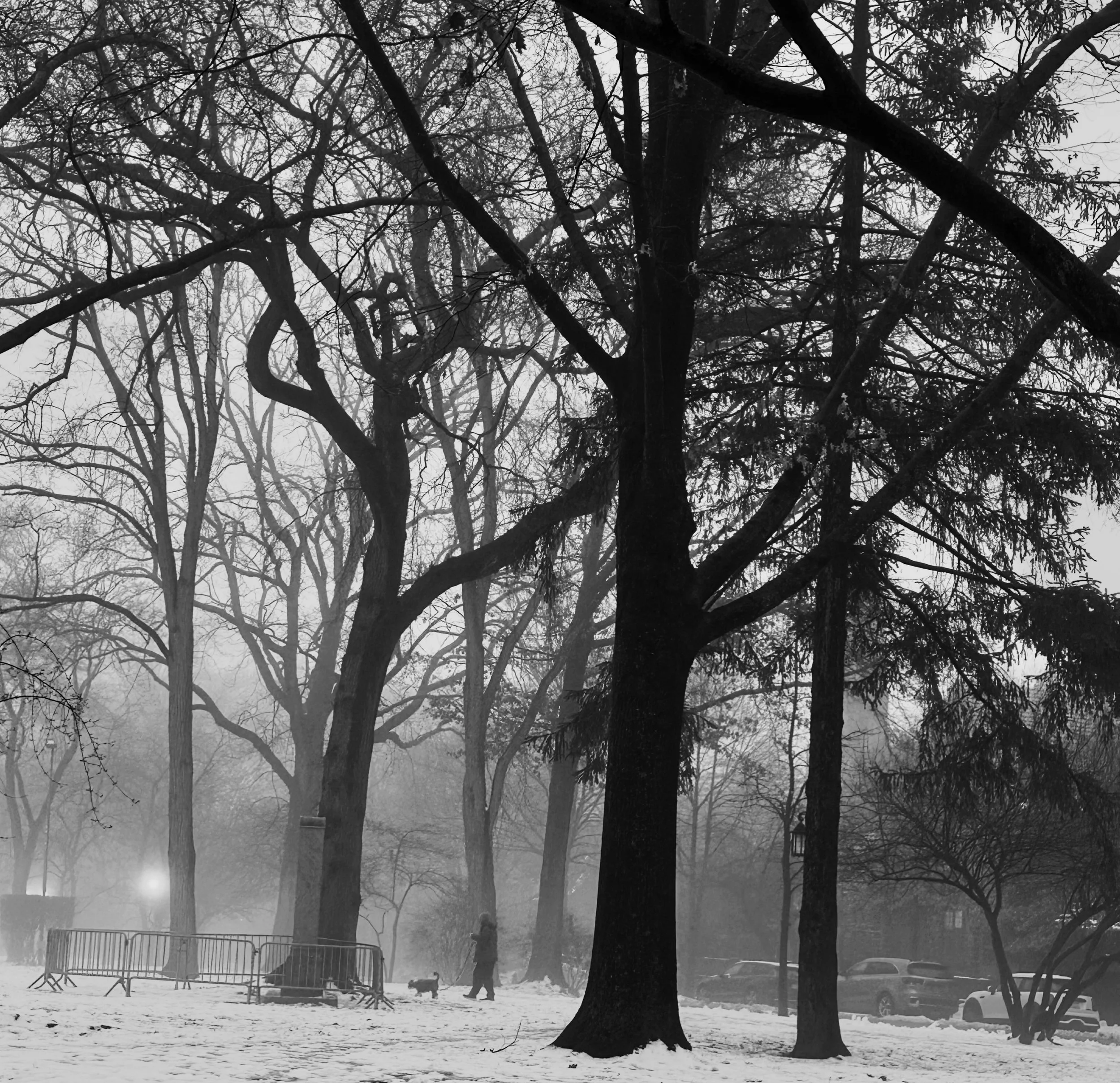 Snow in Forest Hills Queens, NY