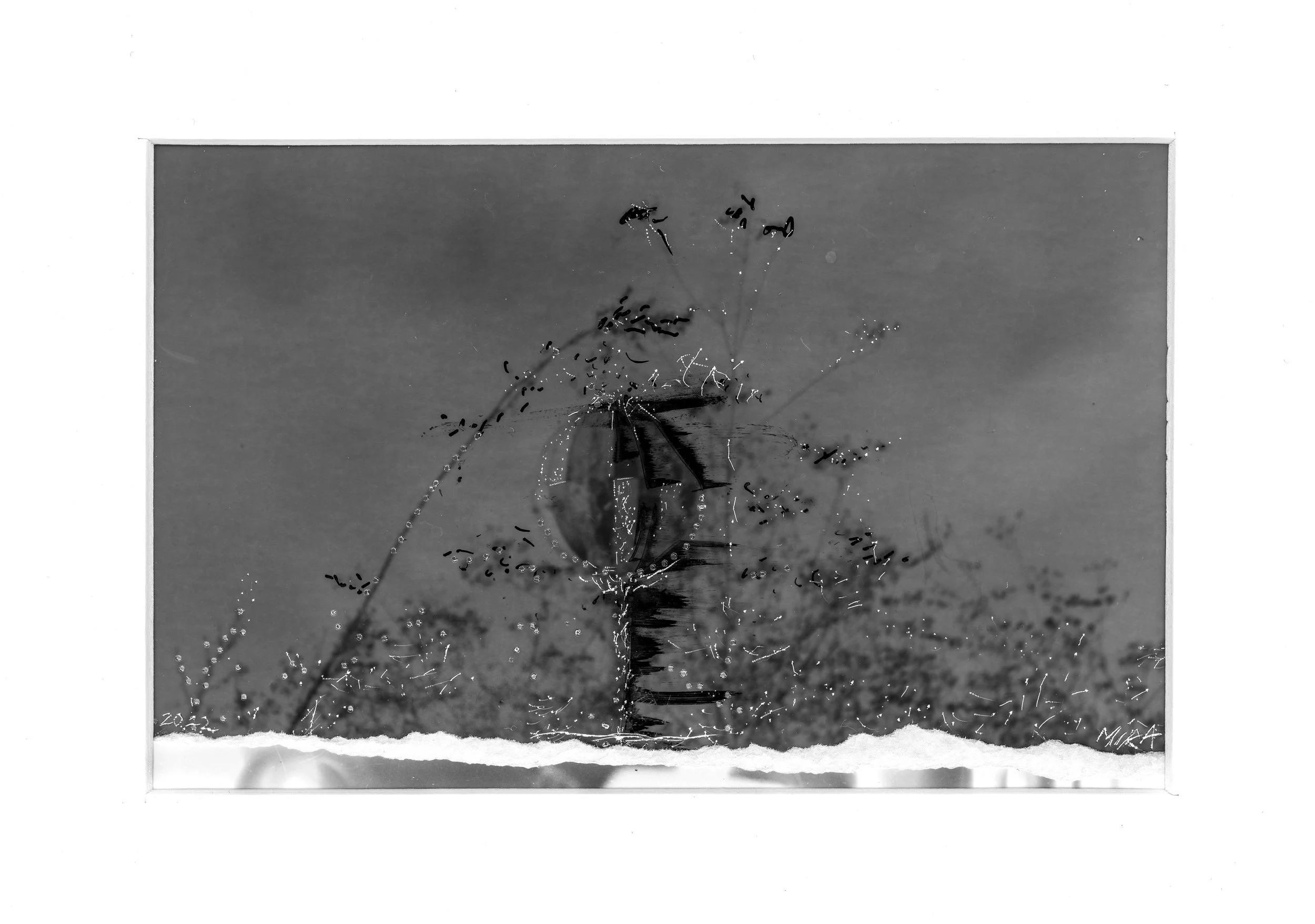 TorokGaspar_L3_014 copy.jpg