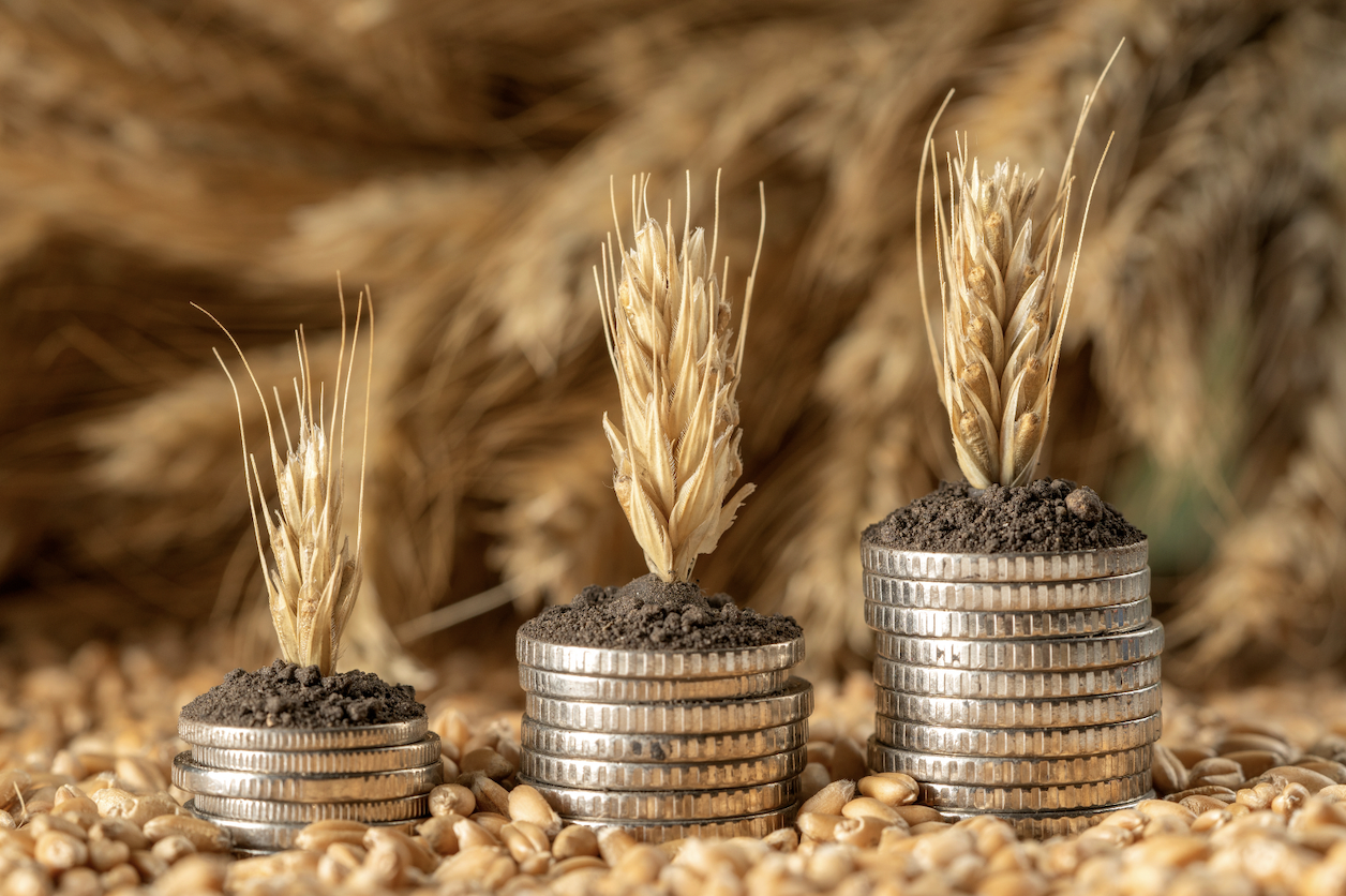 Grants for Growers