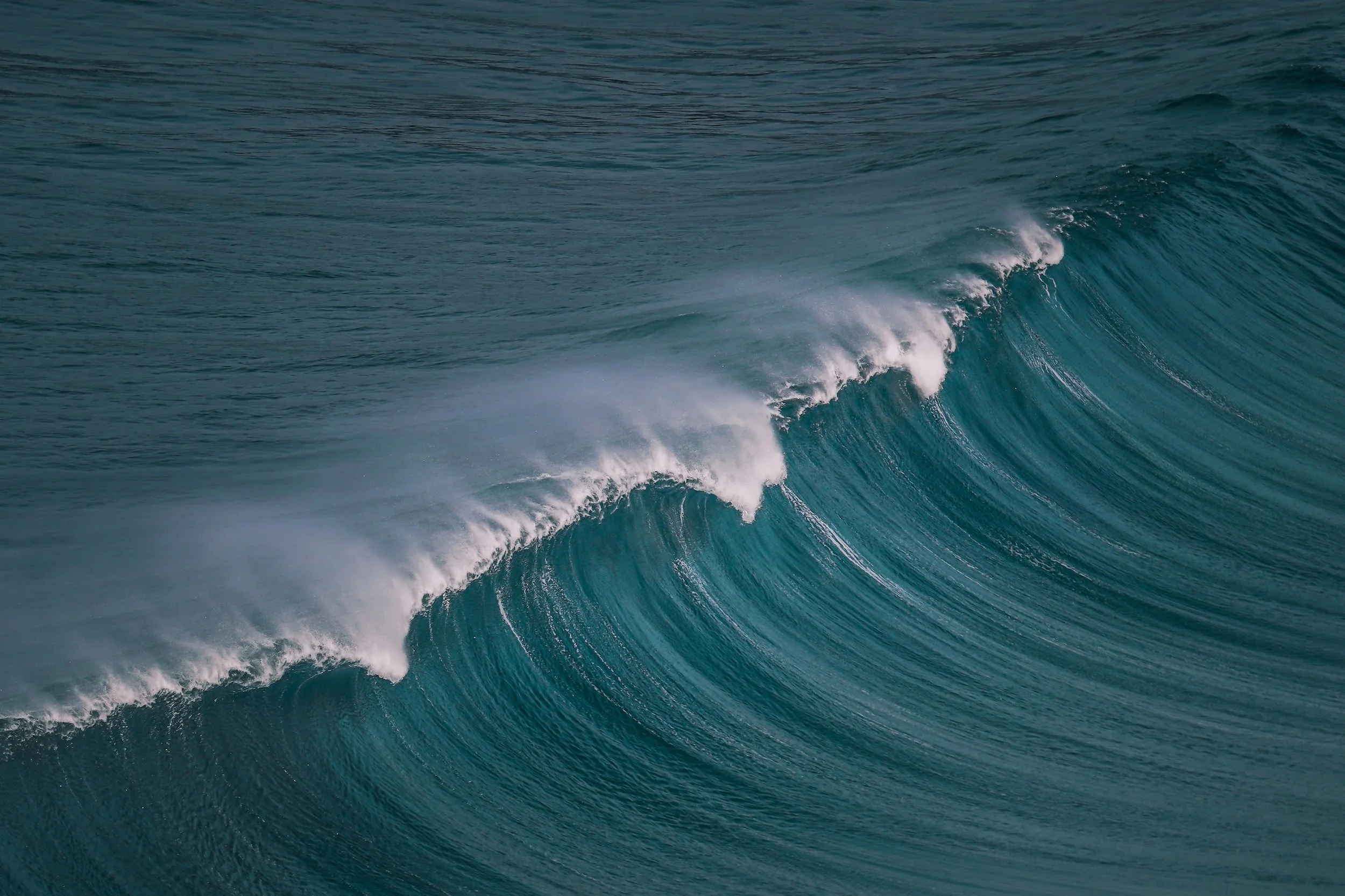 unsplash-image-2ONGY4I82lg.jpg