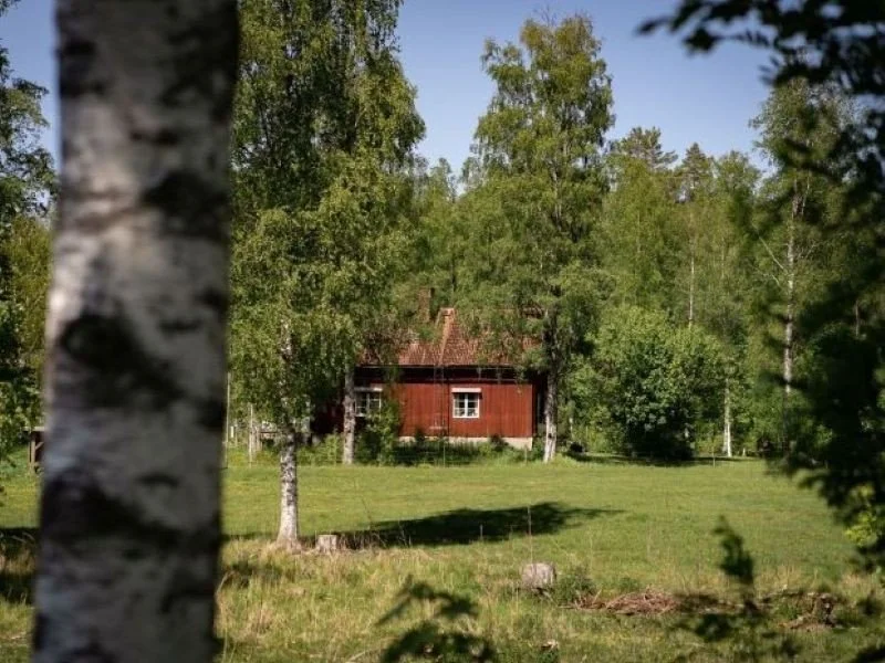 Älteres rotes Schwedenhaus inmitten von Grün