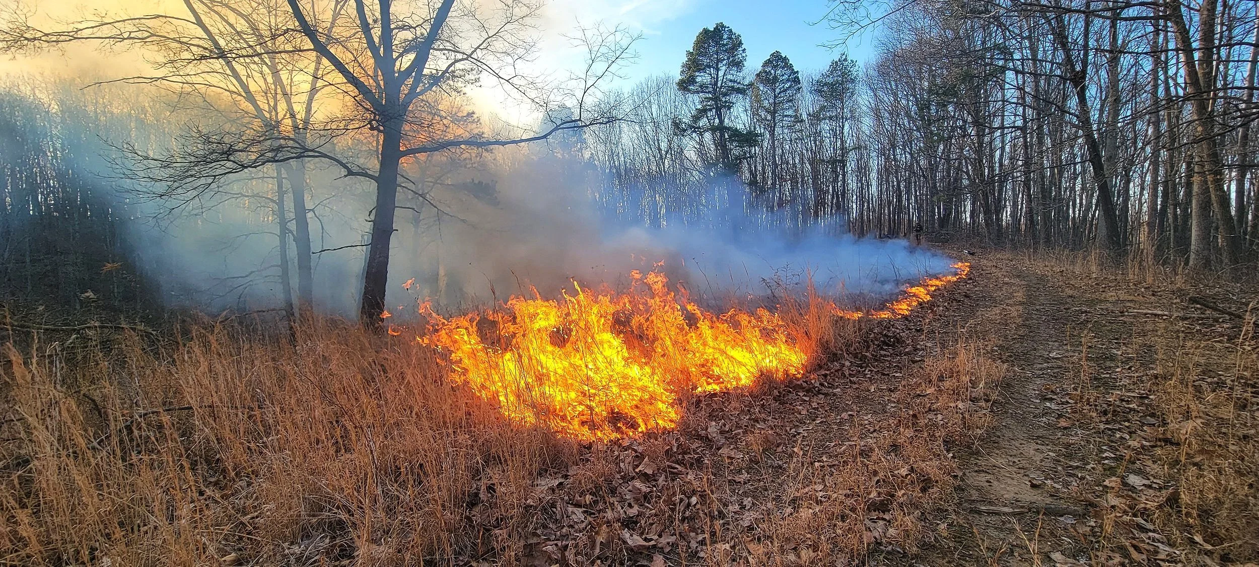 Wagon Hill Fire.jpg