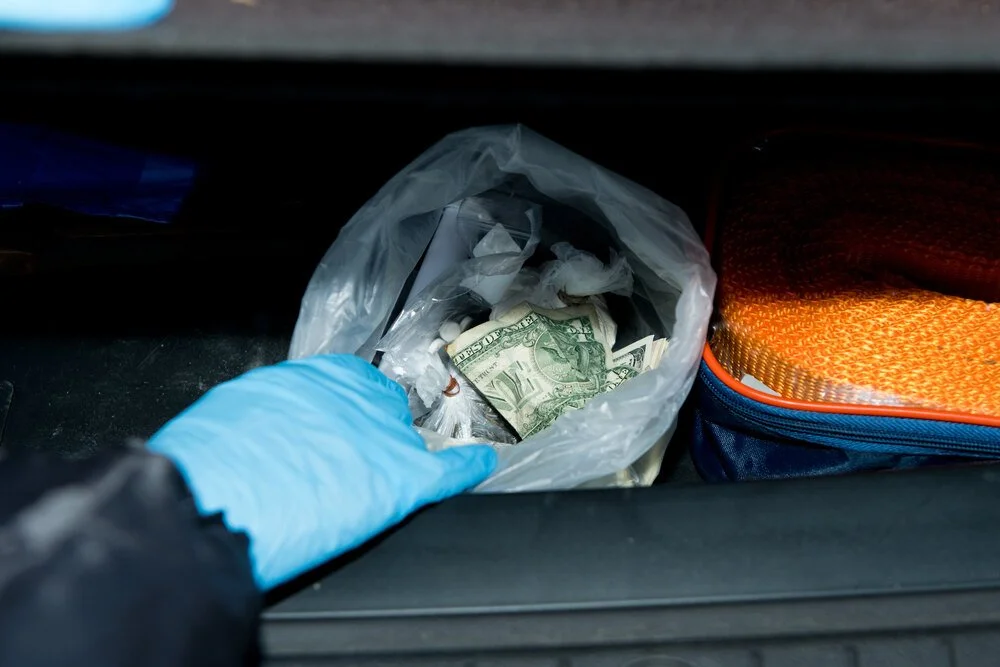 drug search leading to arrest for violation of Minnesota drug laws